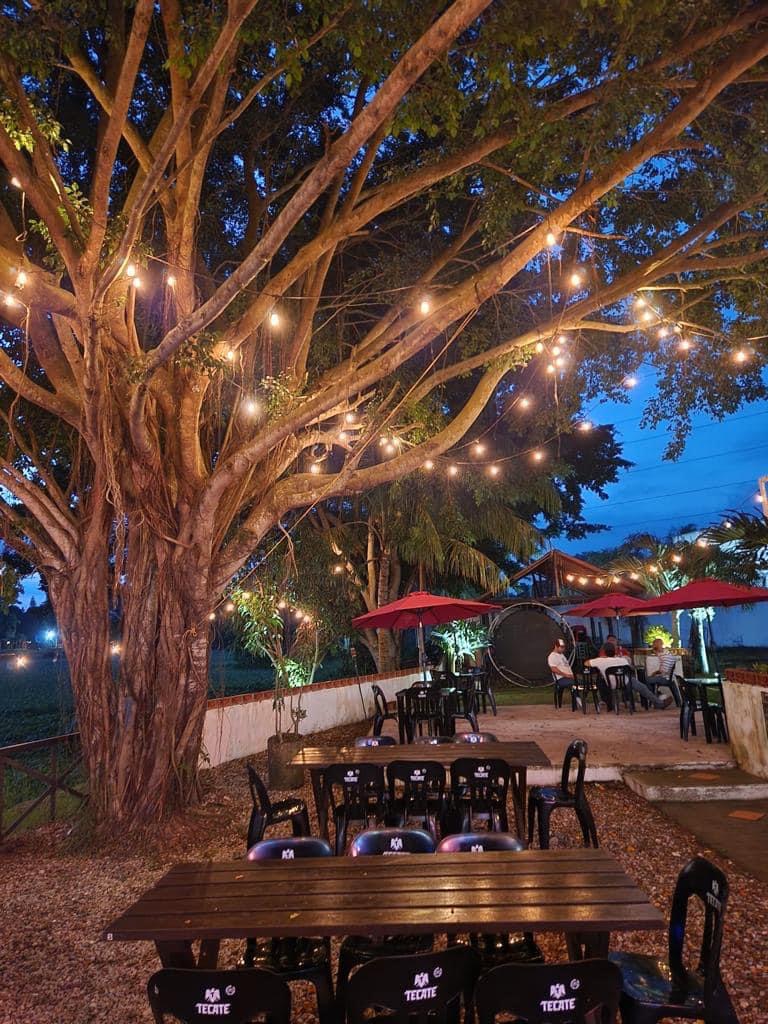 Botanero Barra Norte image 10