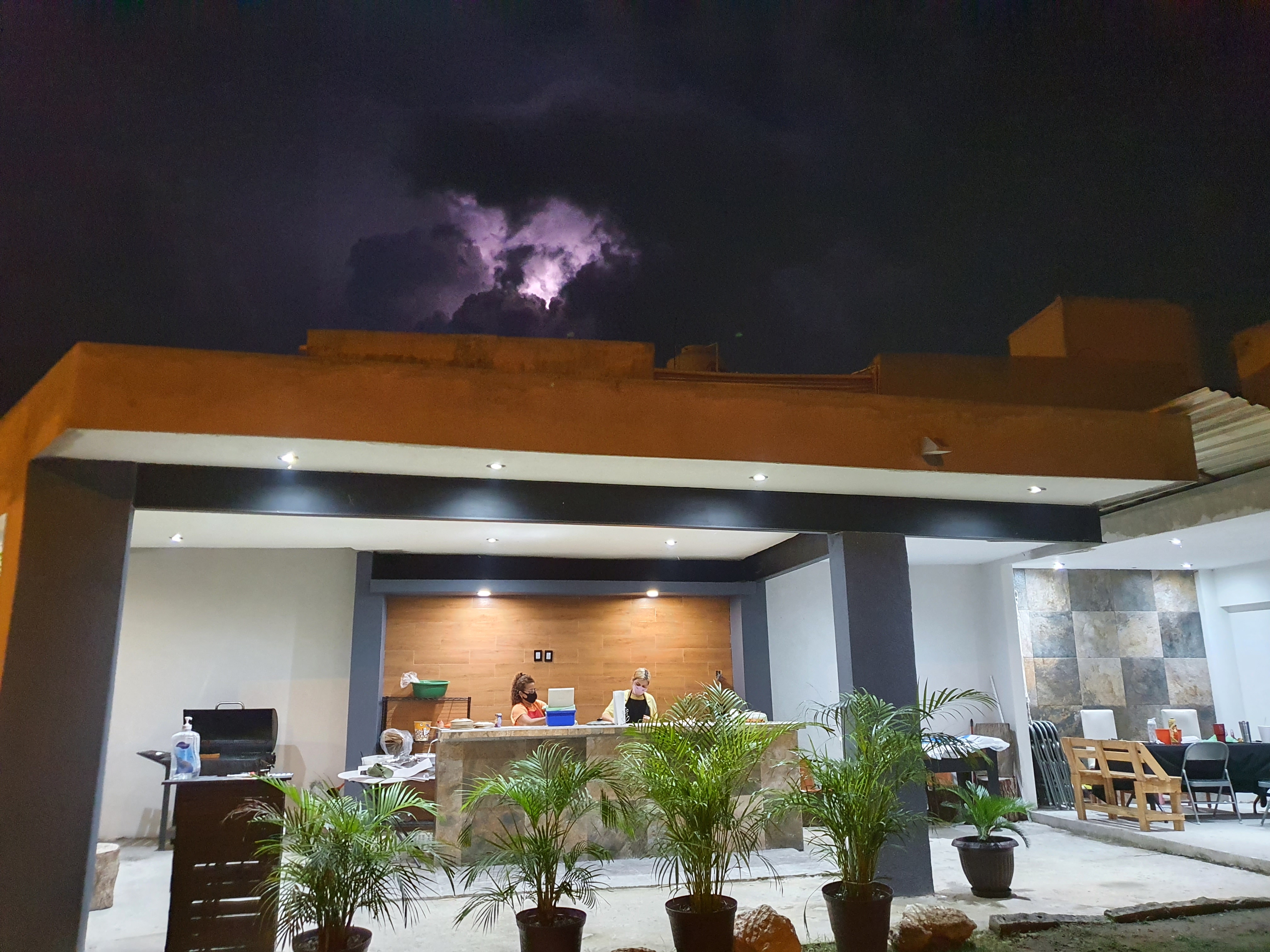 Perdicion Jarocha image 4