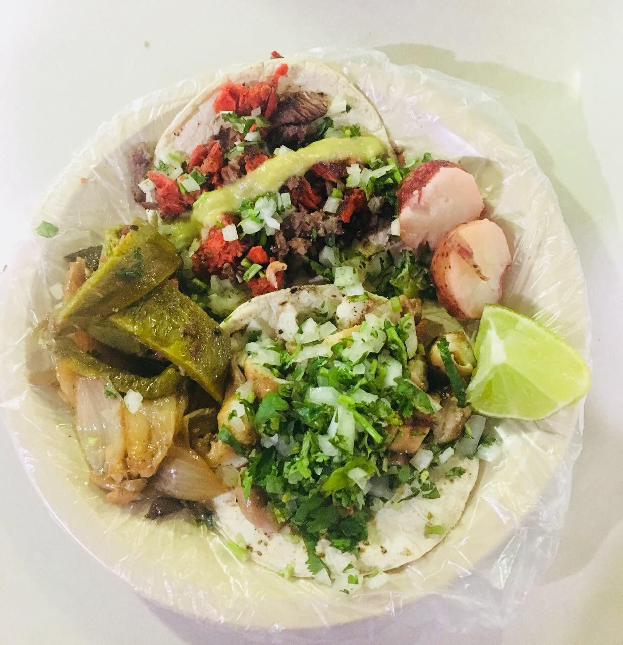 Perdicion Jarocha image 5