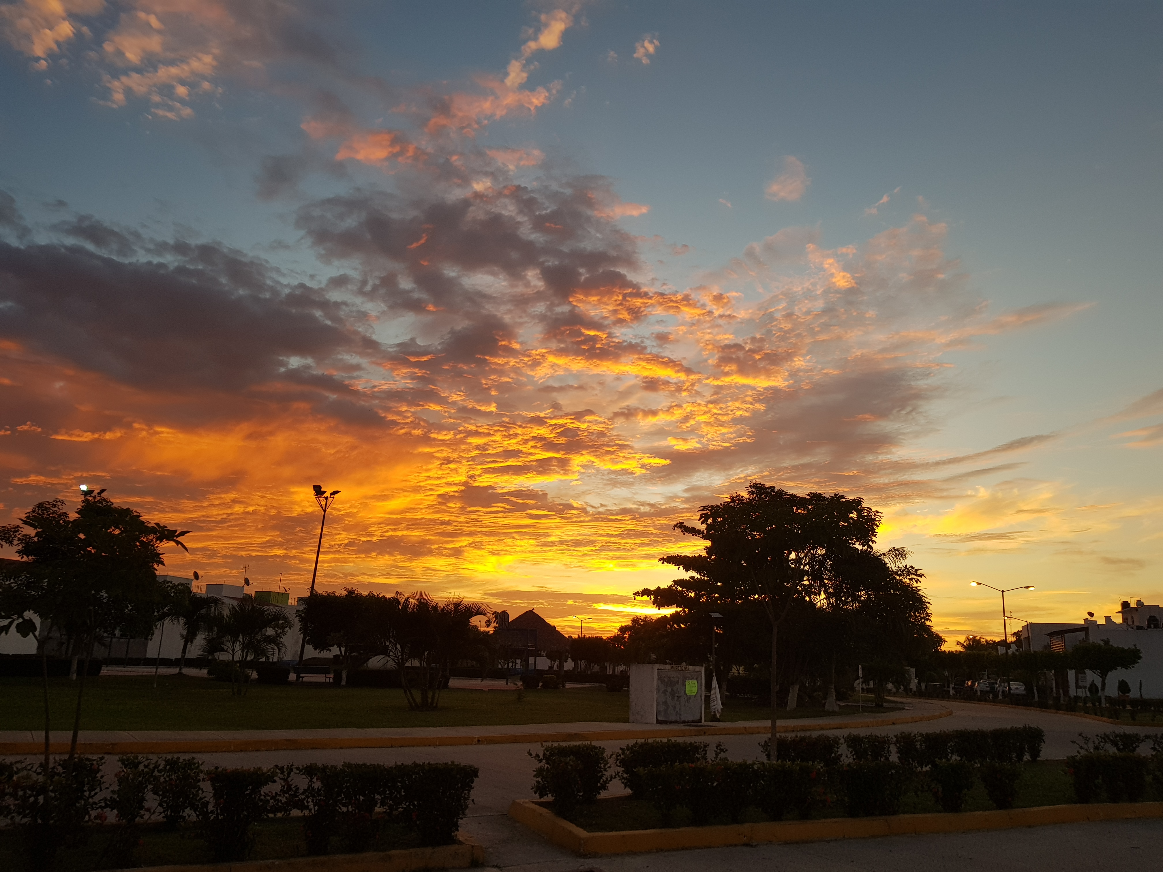 Perdicion Jarocha image 8