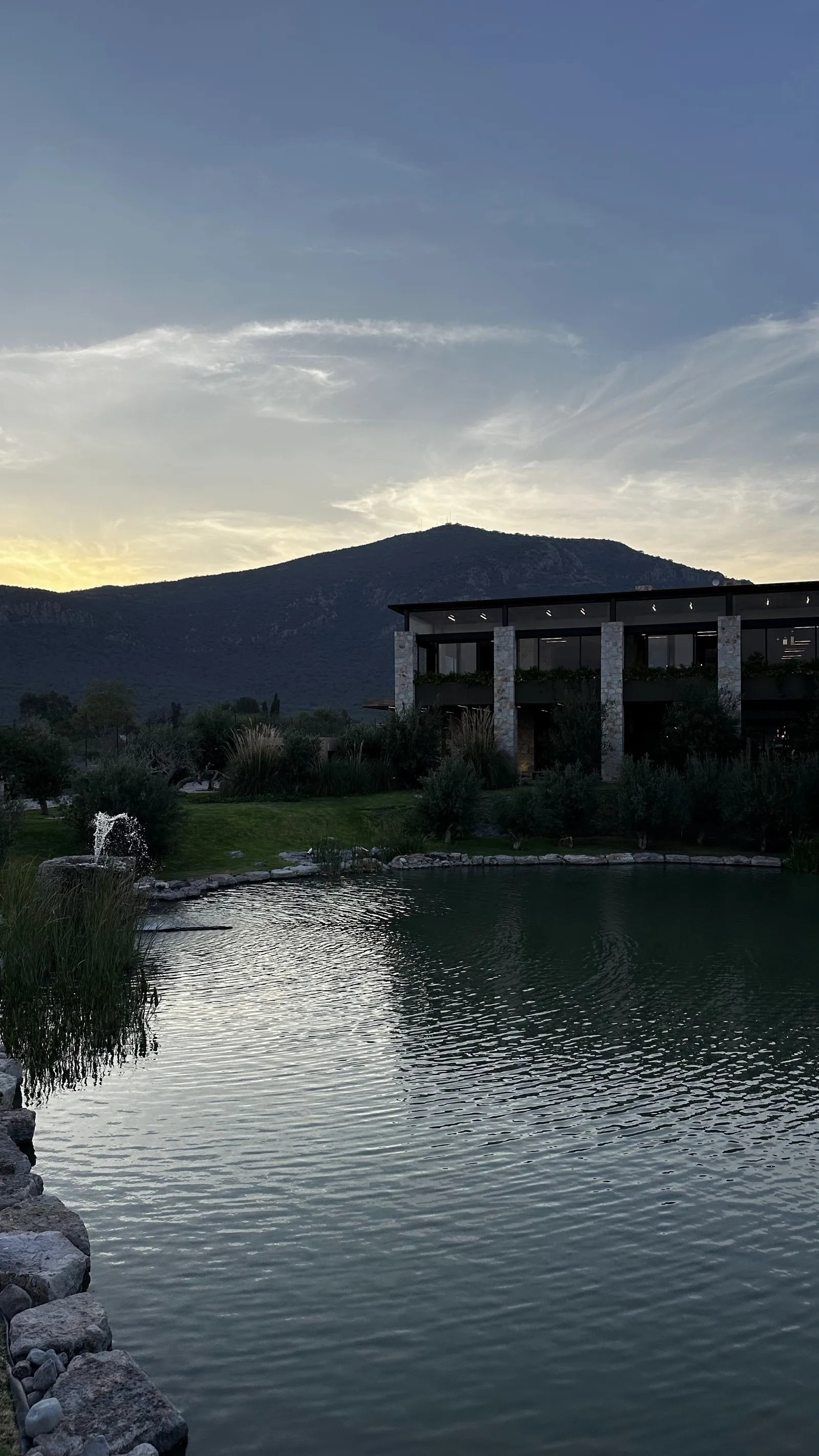 Olivo Tinto image 5