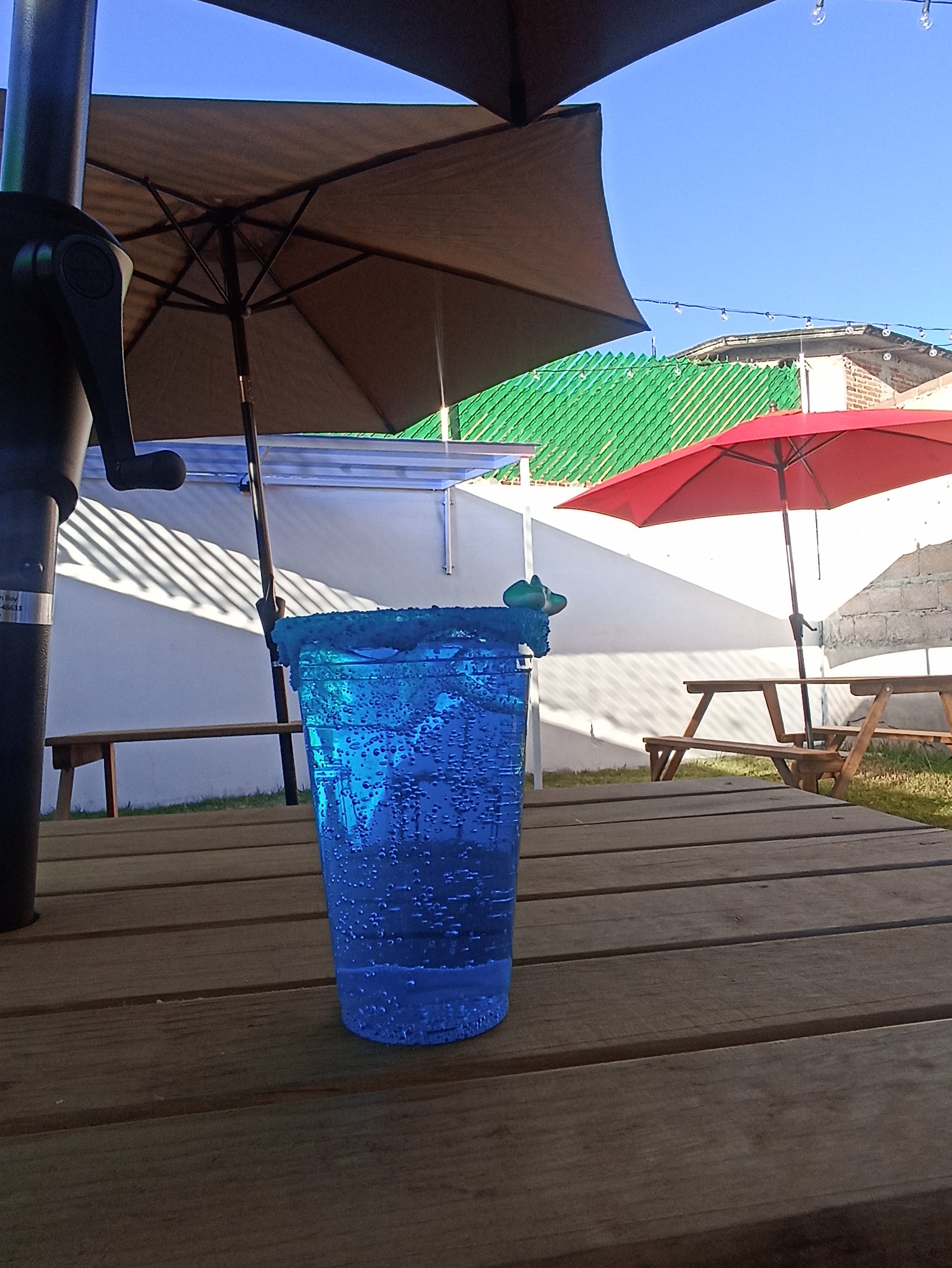 La estación Jardín image 3