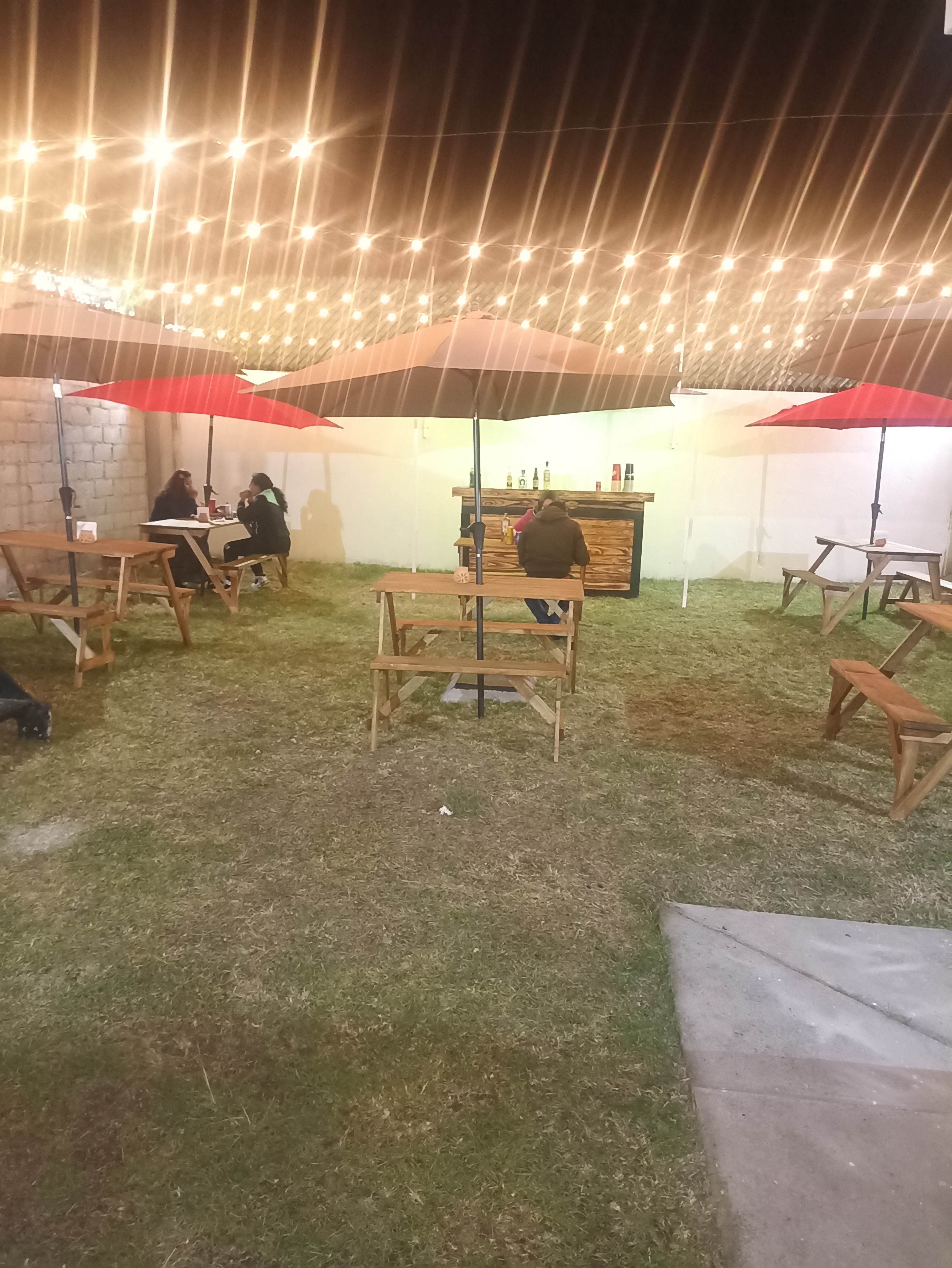 La estación Jardín image 4