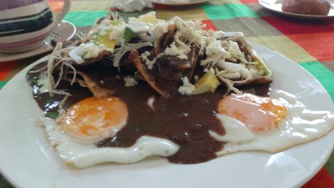 Restaurante los Cocos image 7