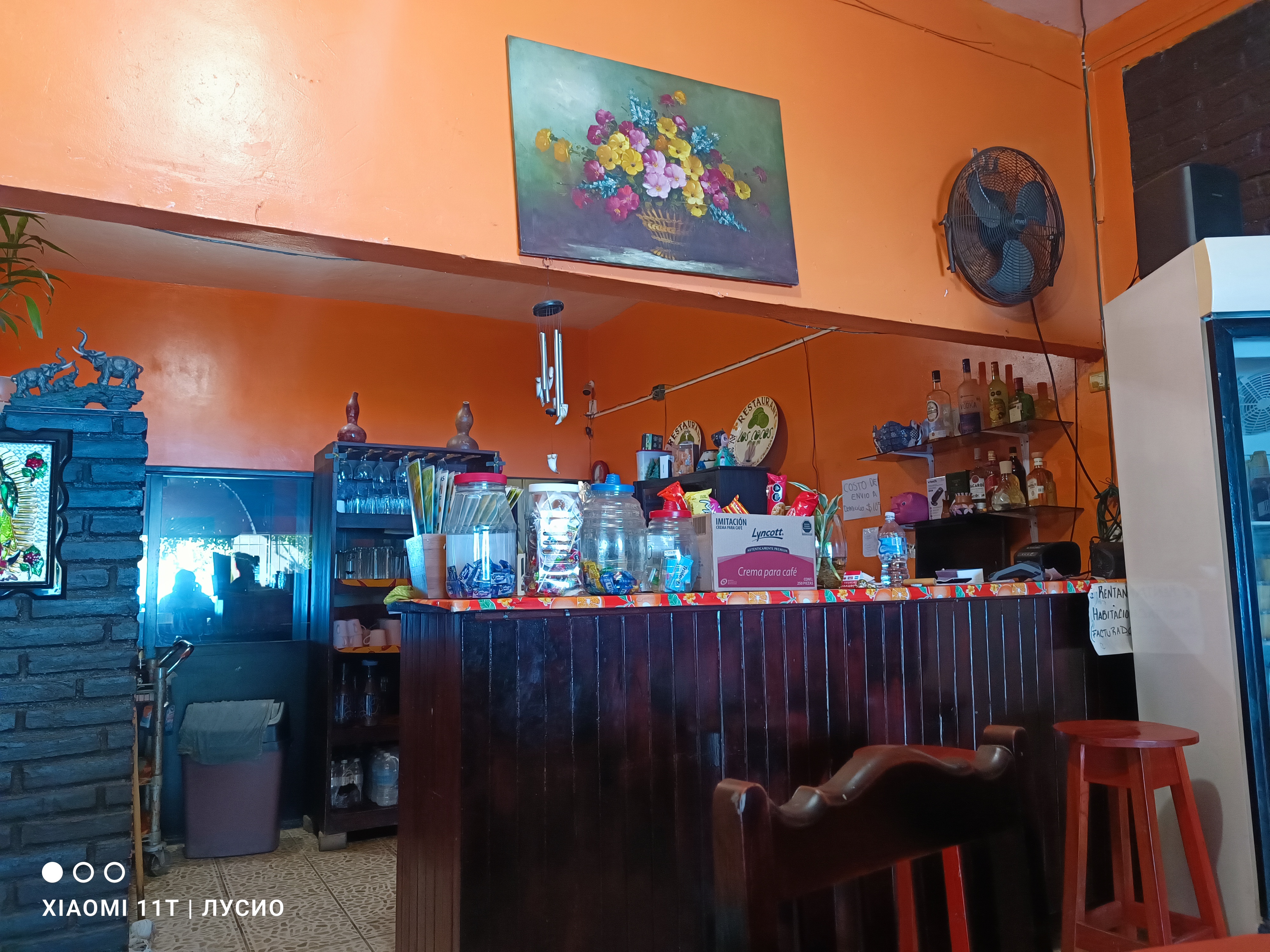 Restaurante los Cocos image 8