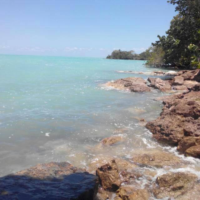 Restaurant & Cafetería Ni Hao image 9