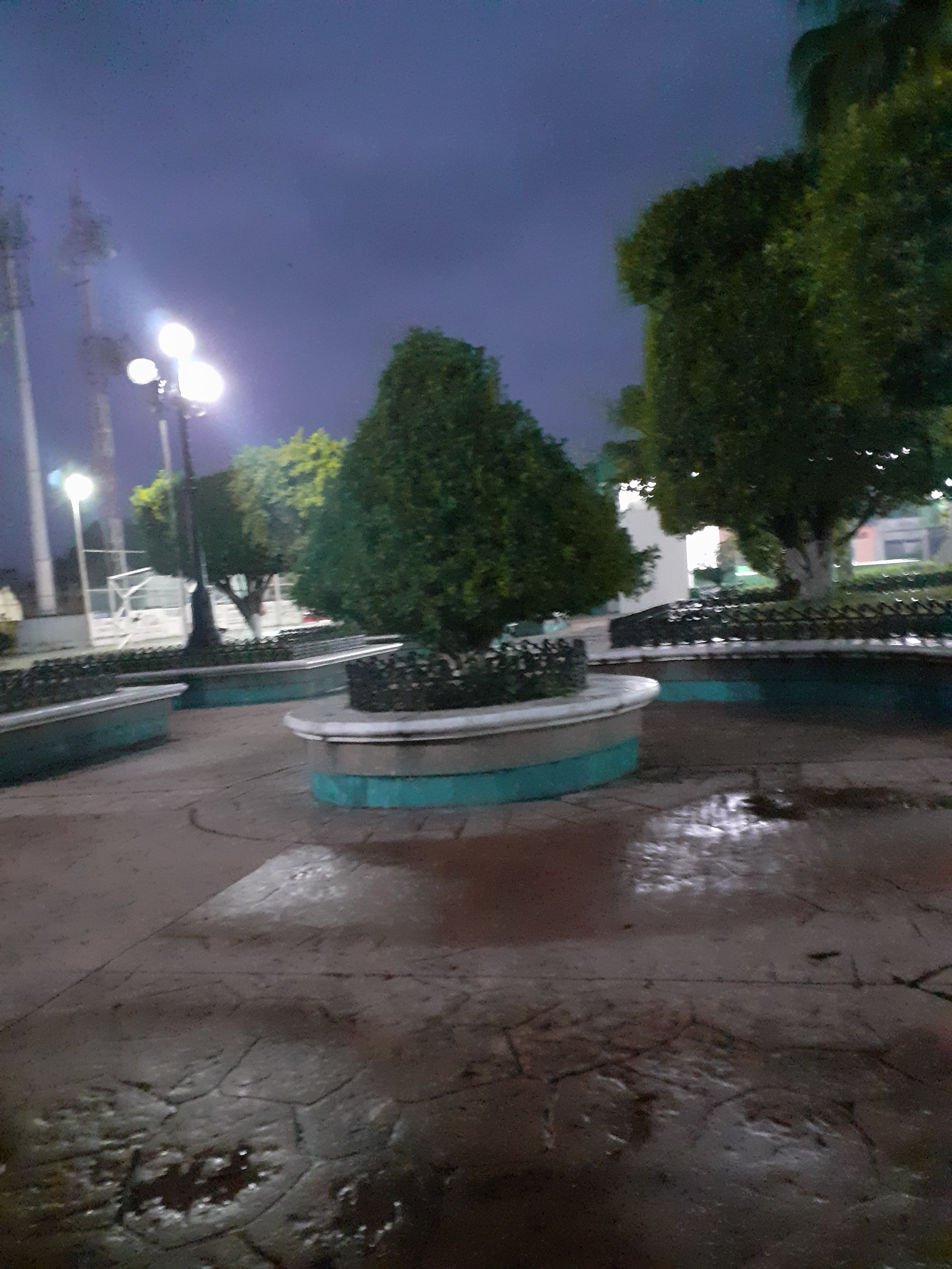 Quesadillas lupita Escuintla, chiapas image 2