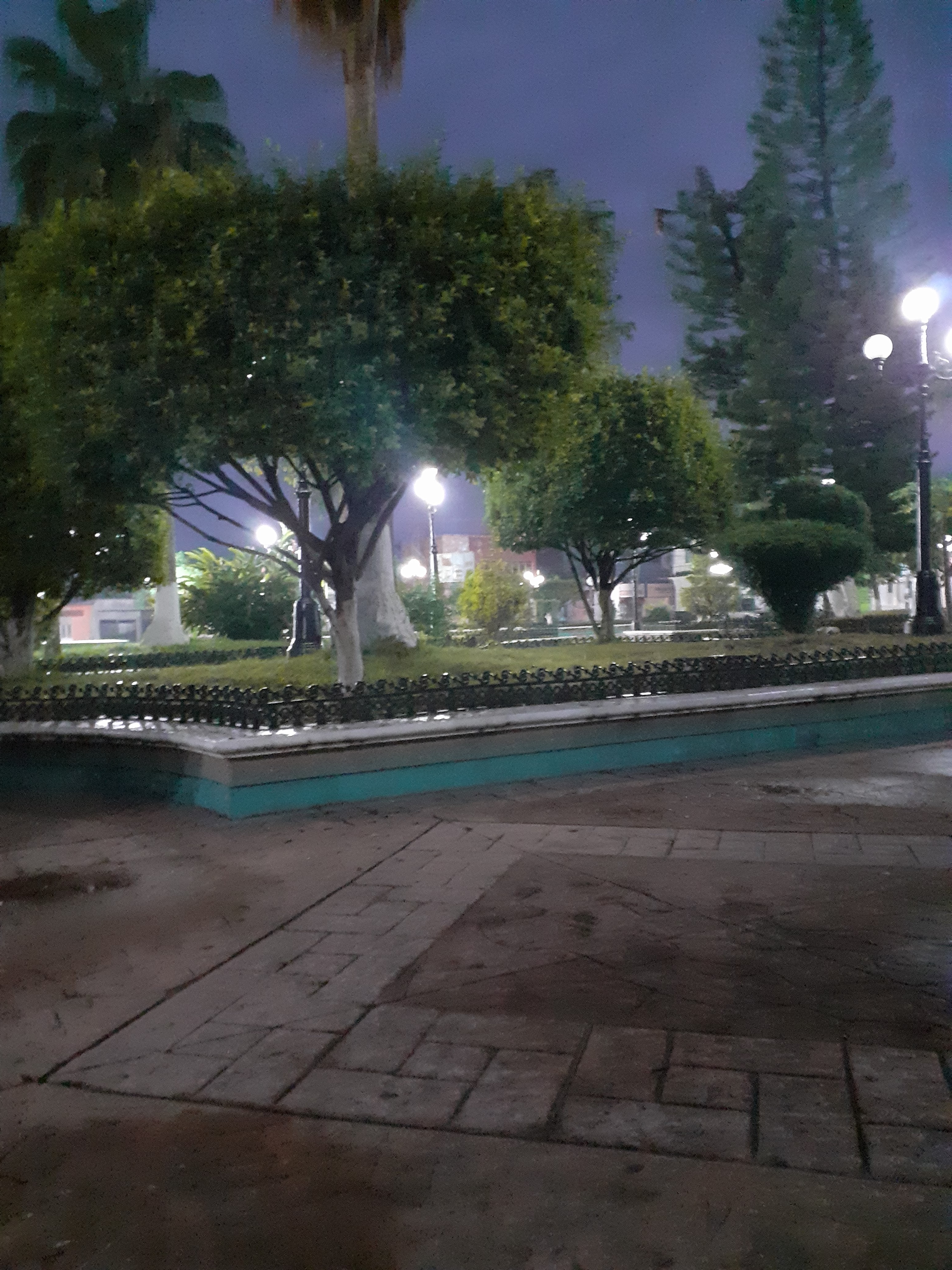 Quesadillas lupita Escuintla, chiapas image 4