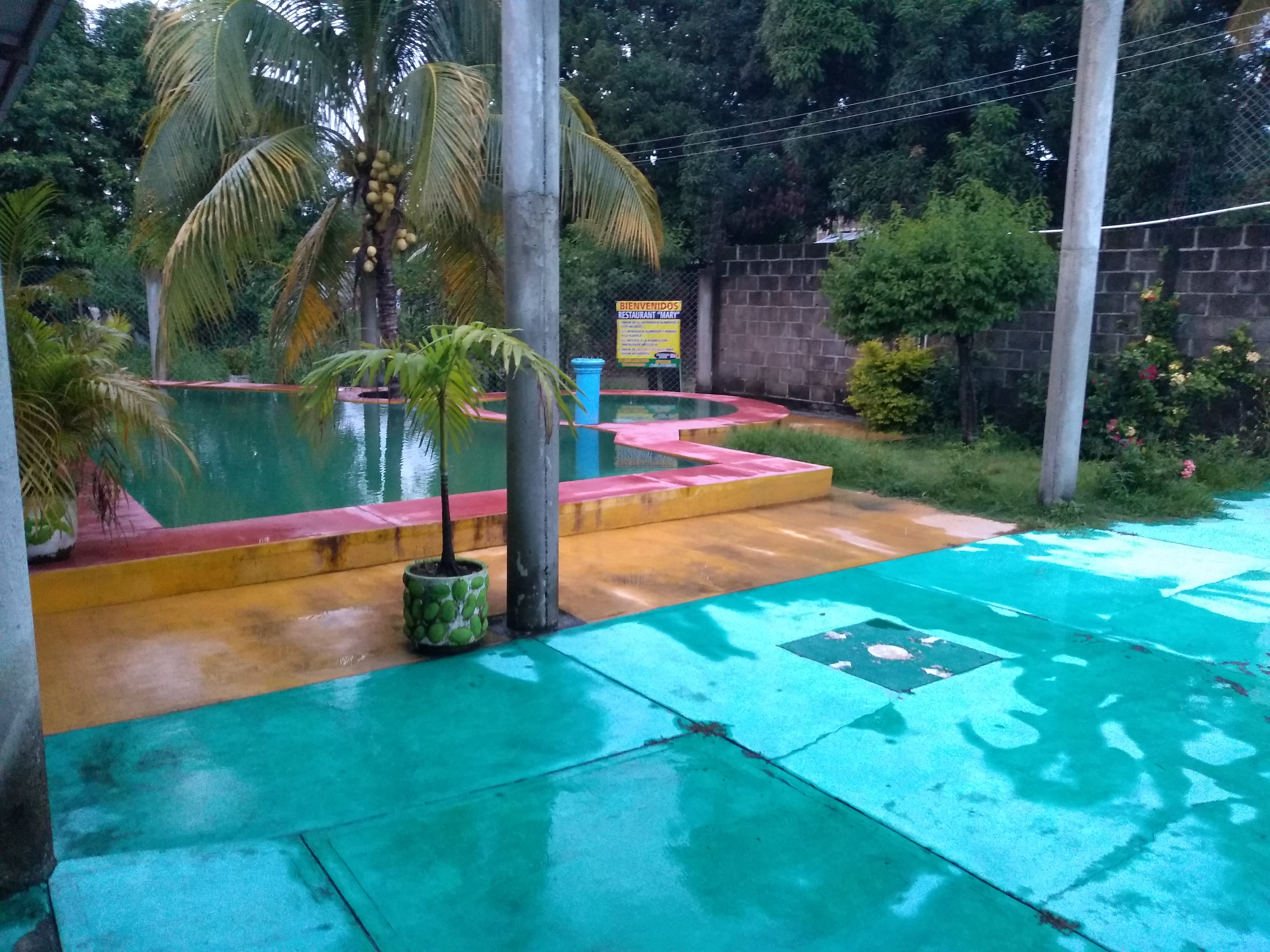 RESTAURANT "MARY" image 5