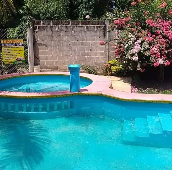 RESTAURANT "MARY" image 6