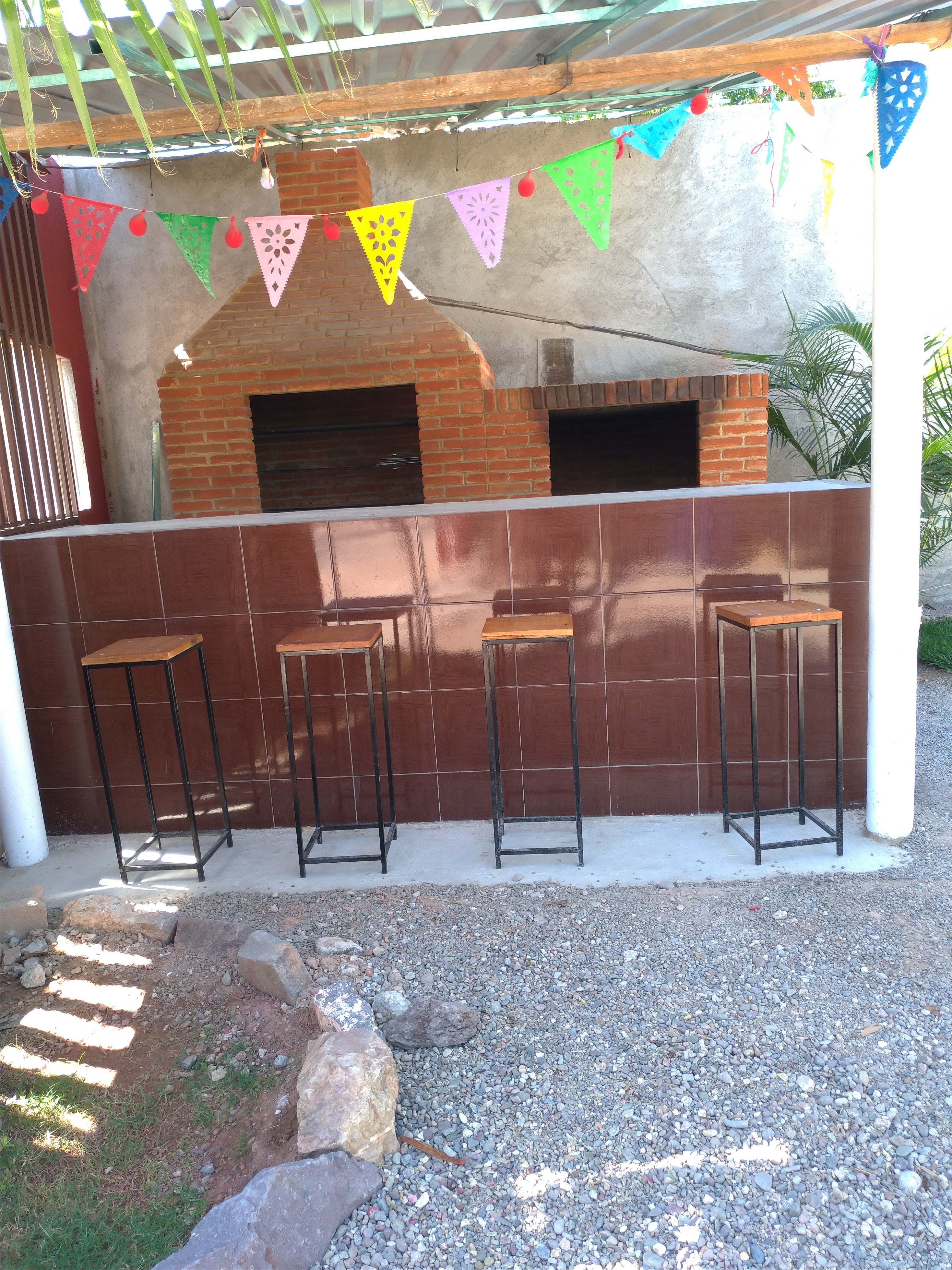 Dom beef carnes asadas image 5