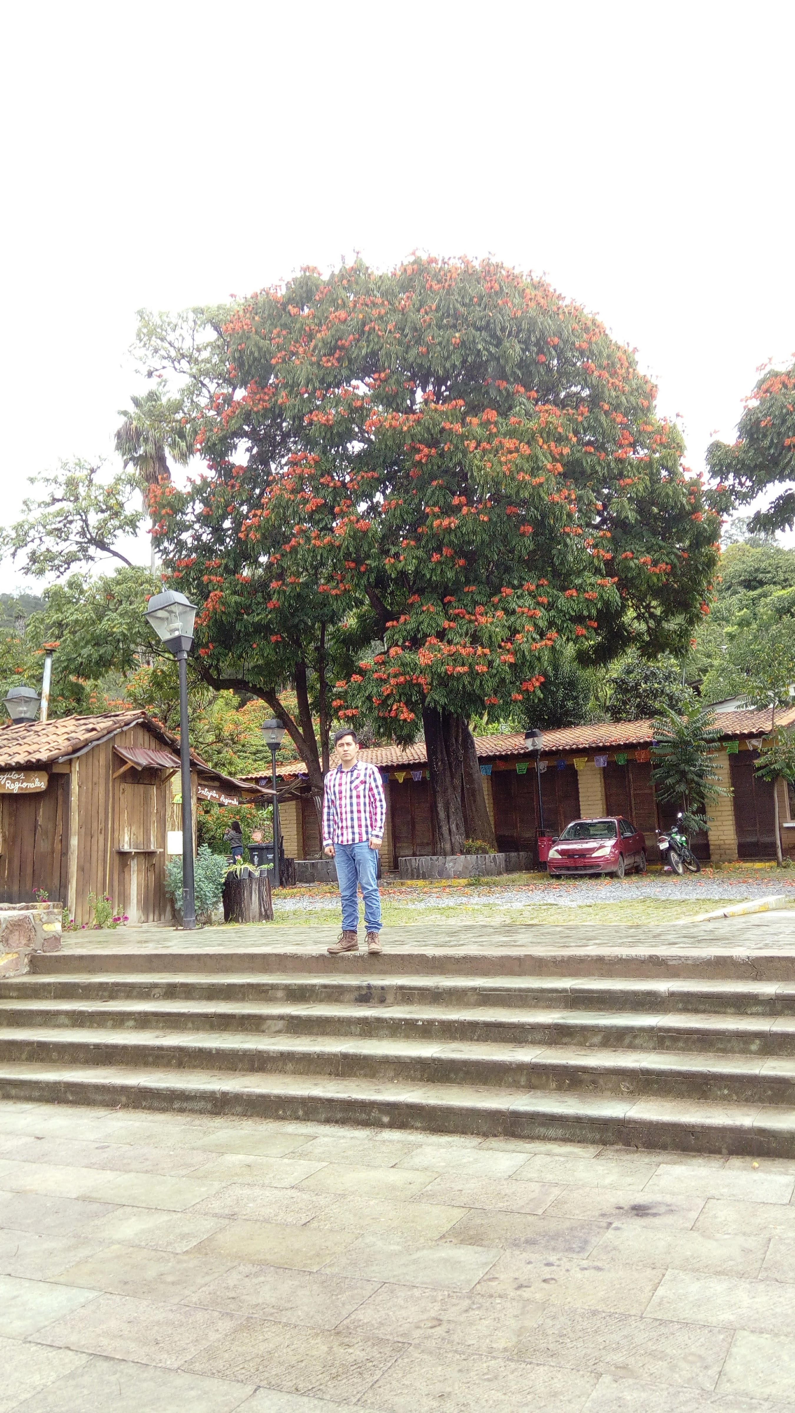 Restaurant-Bar "Juarez" image 9