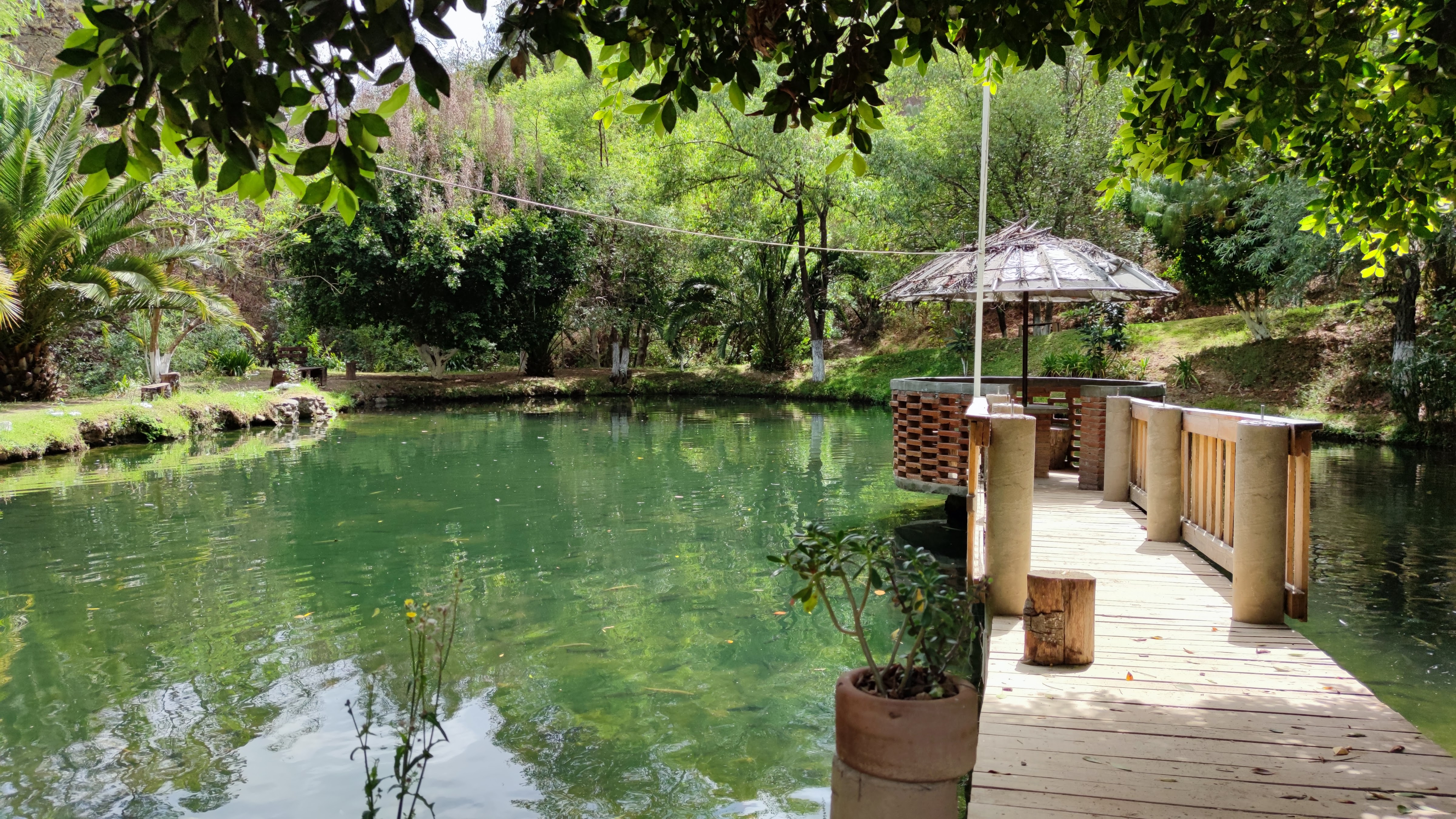 Restaurante Shoo-Bettoo image 3