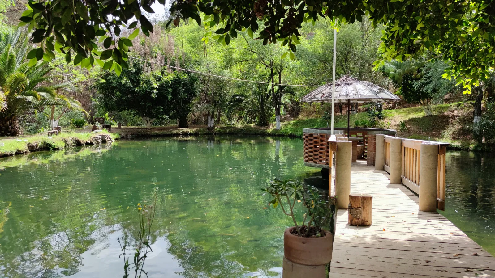 Restaurante Shoo-Bettoo image 3