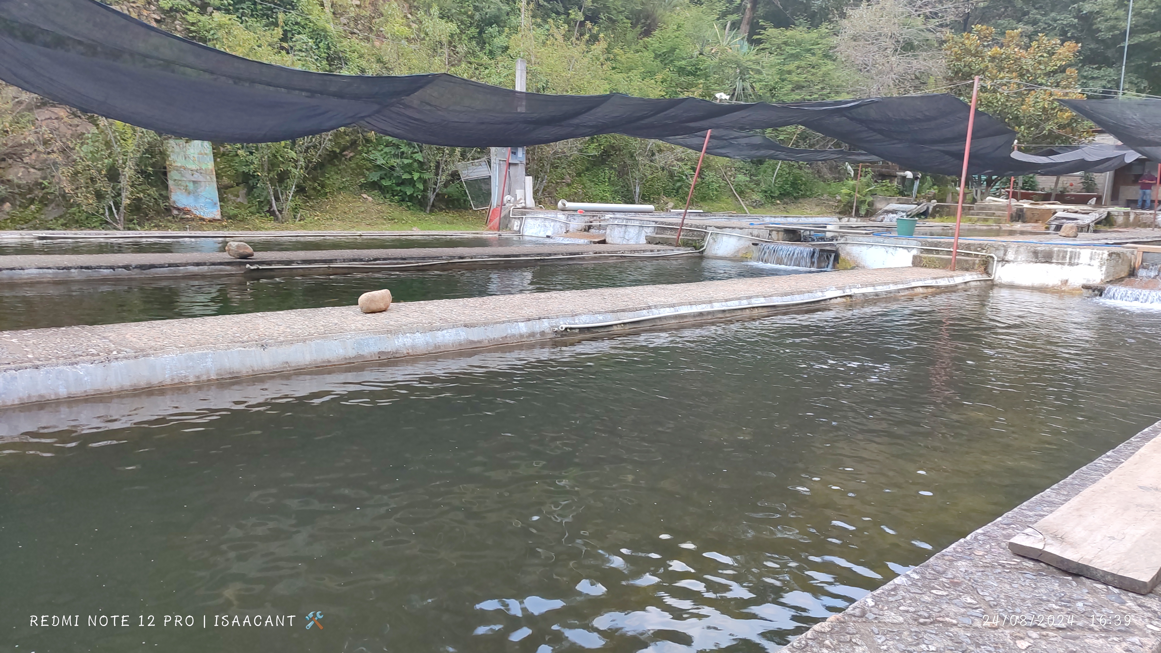 Restaurante Shoo-Bettoo image 4