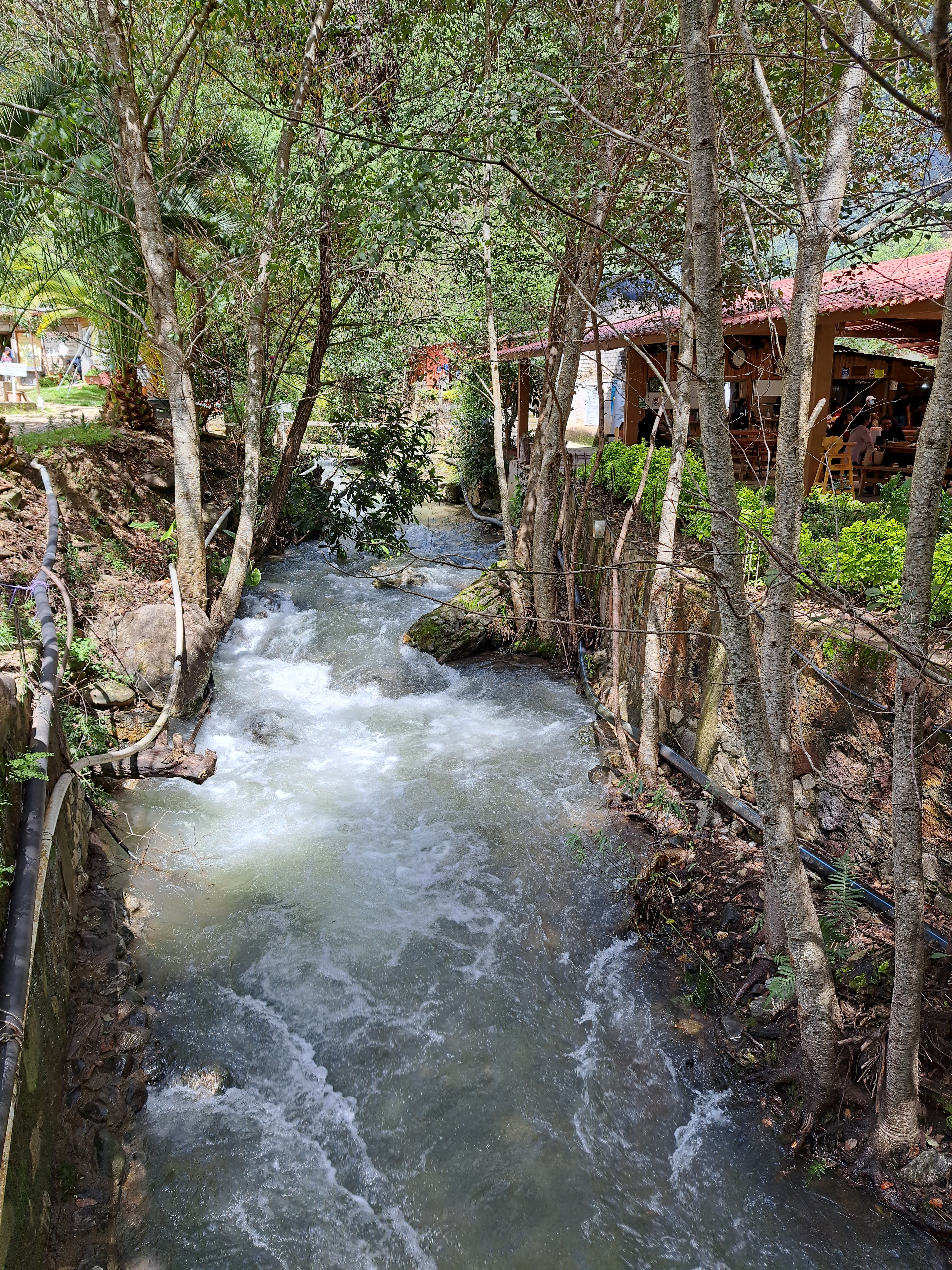 Restaurante Shoo-Bettoo image 6