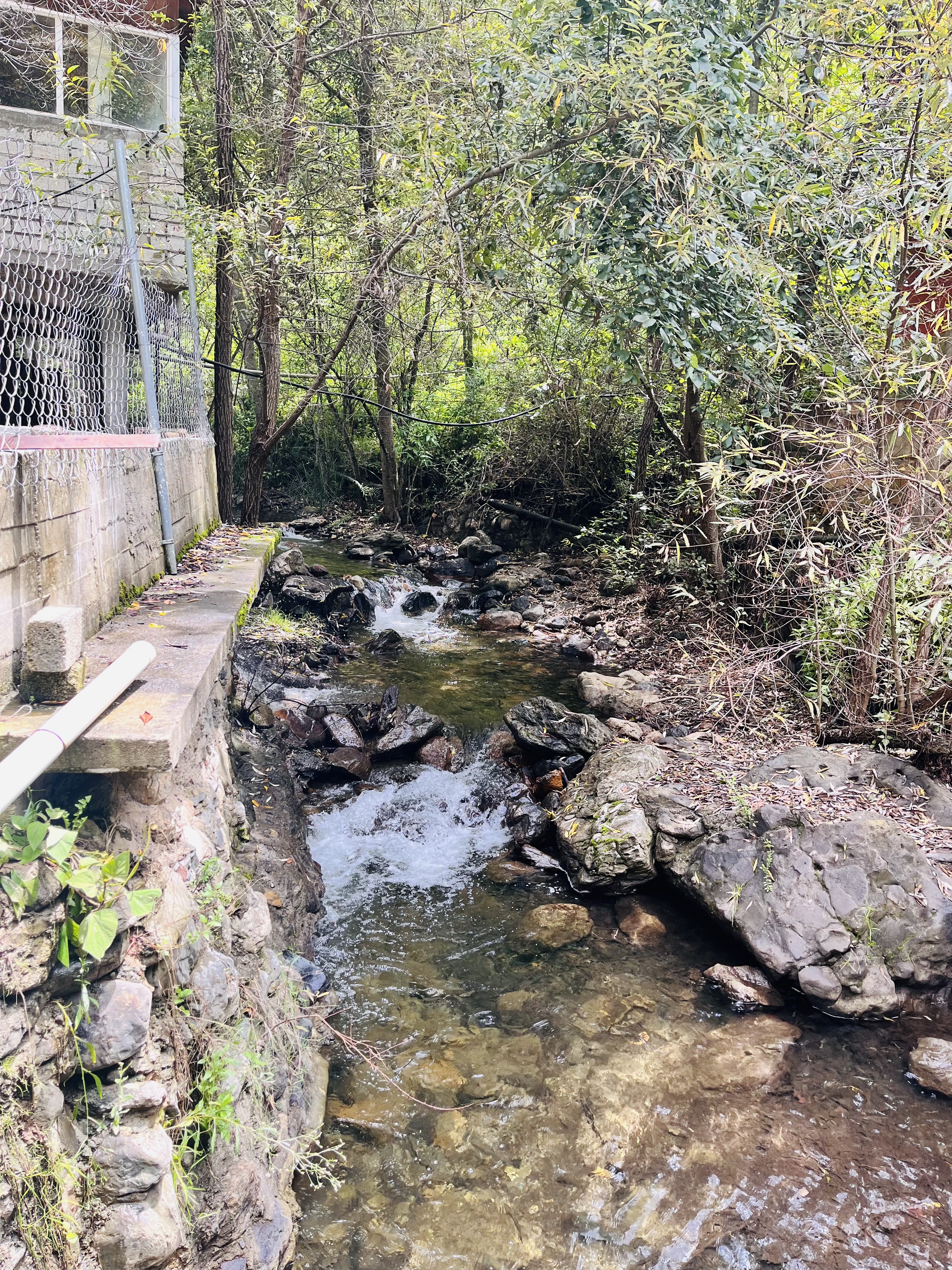 Restaurante Shoo-Bettoo image 8