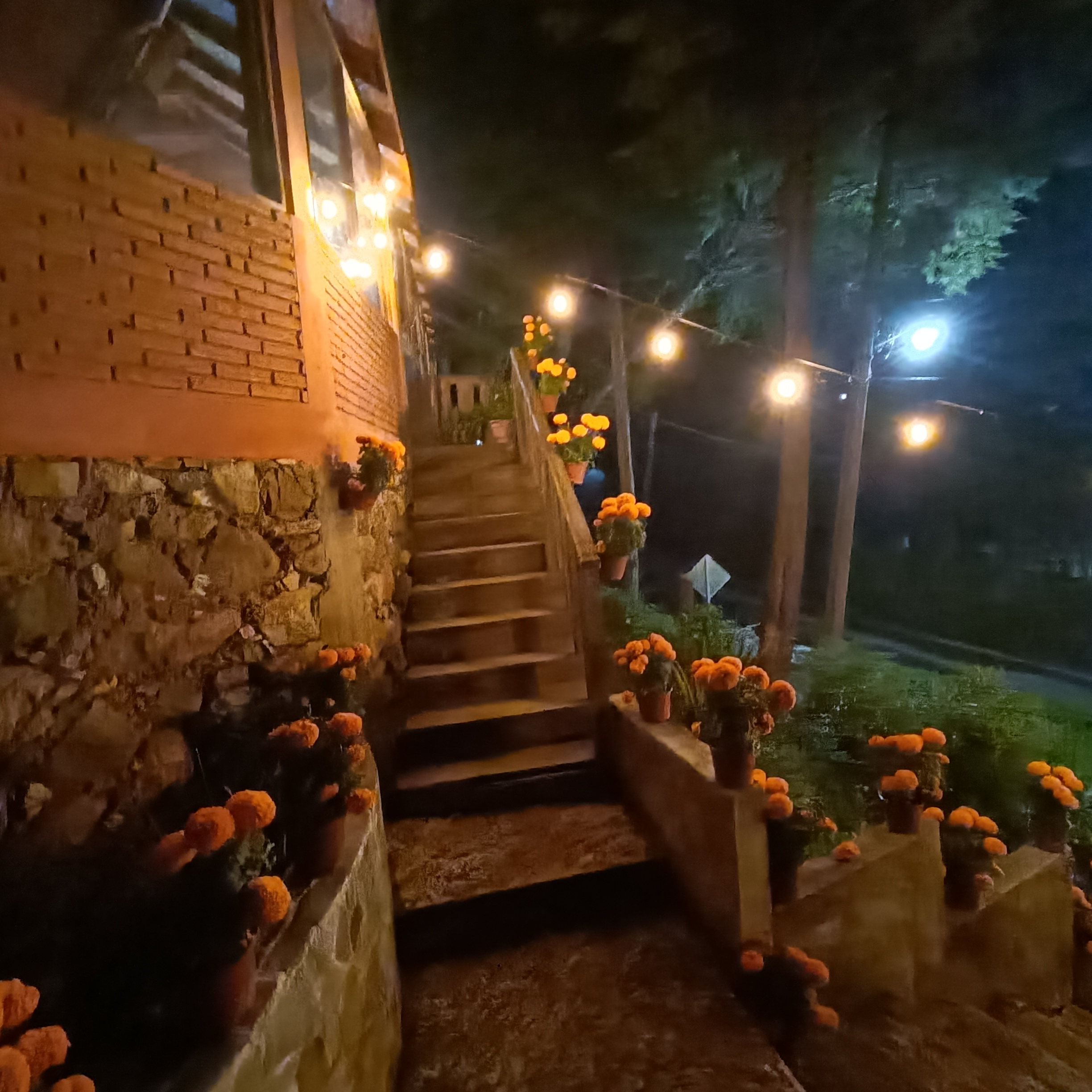 Restaurante Nabani image 6