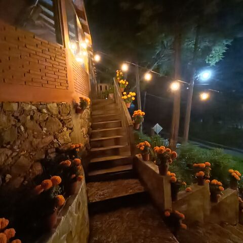 Restaurante Nabani image 6