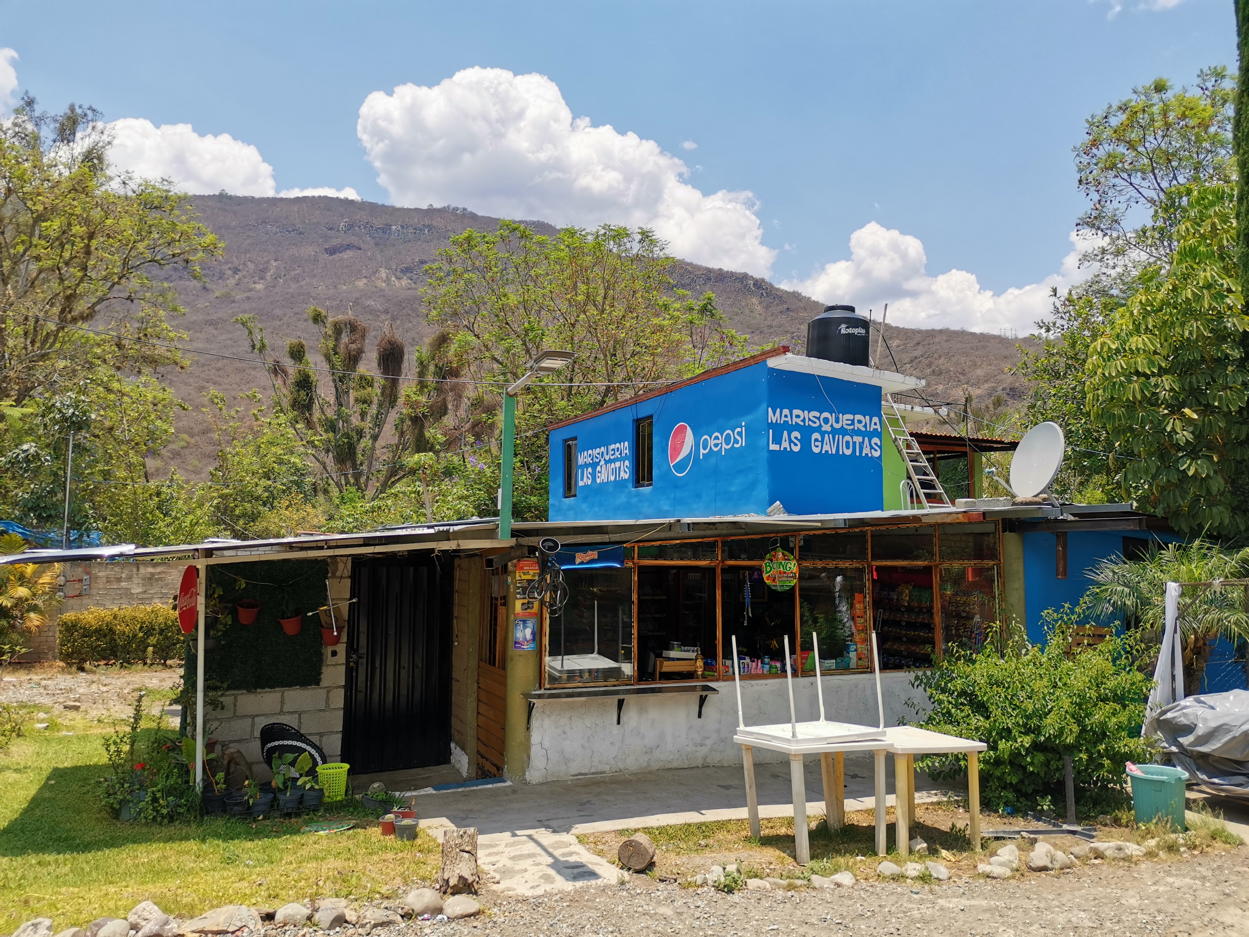 Marisqueria Las Gaviotas image 1