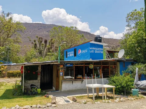 Marisqueria Las Gaviotas image 1