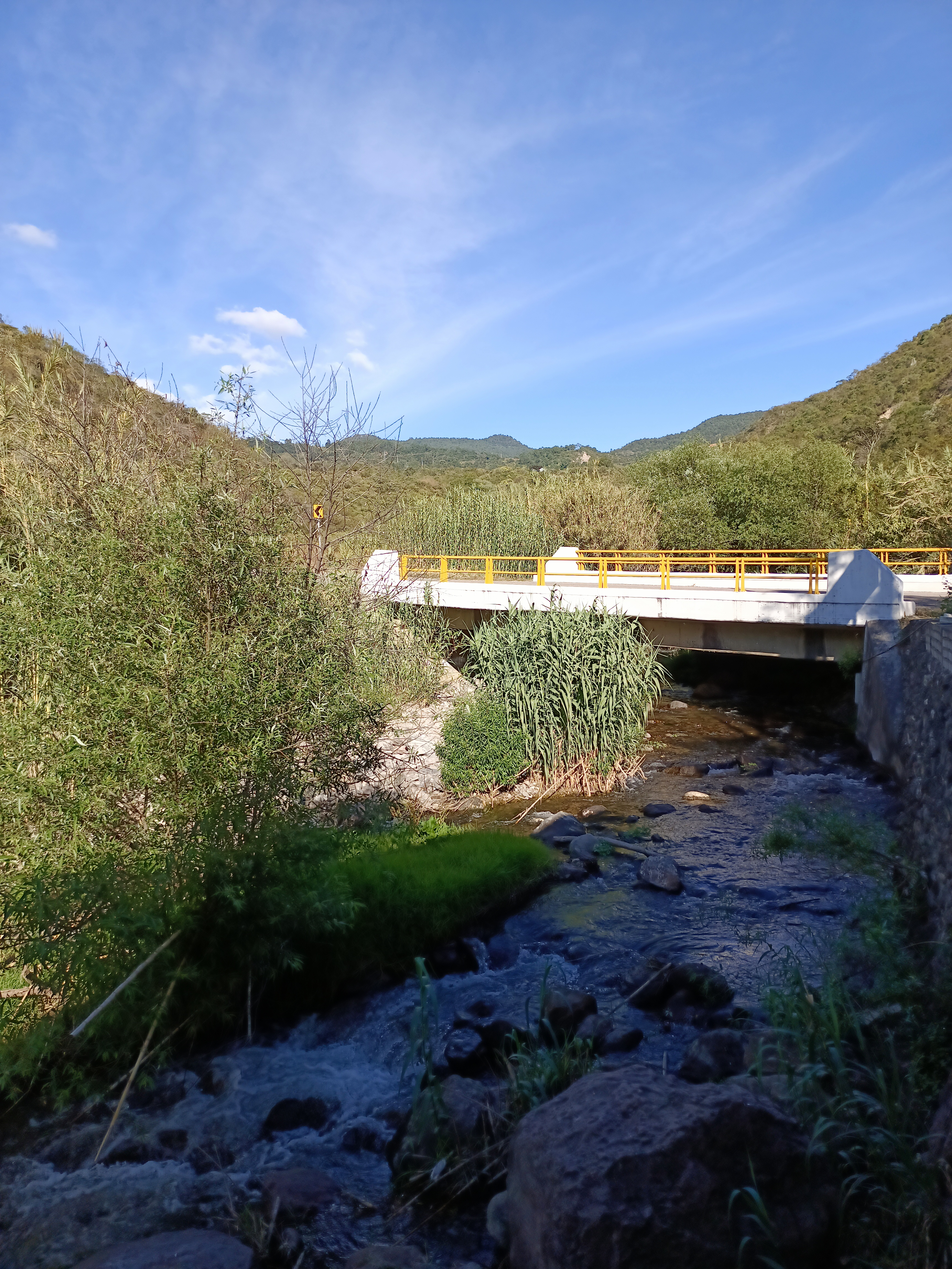 Marisqueria Las Gaviotas image 6
