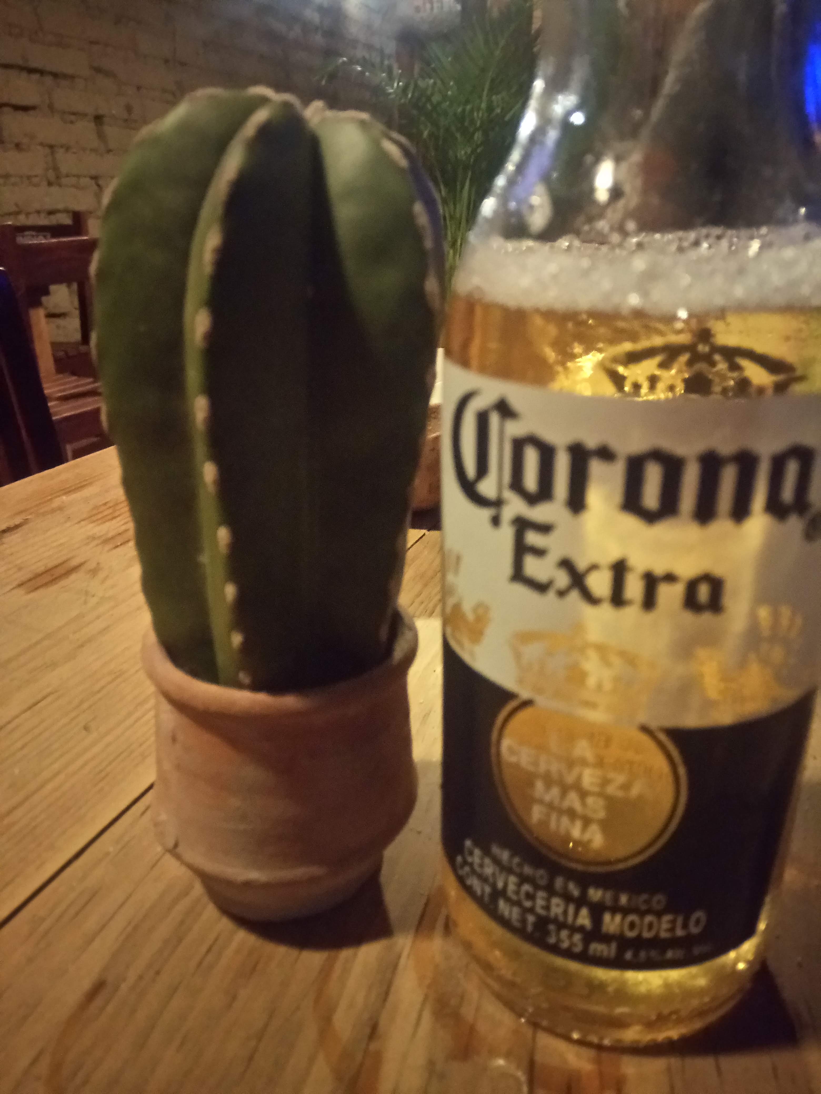 Marisqueria Las Gaviotas image 8