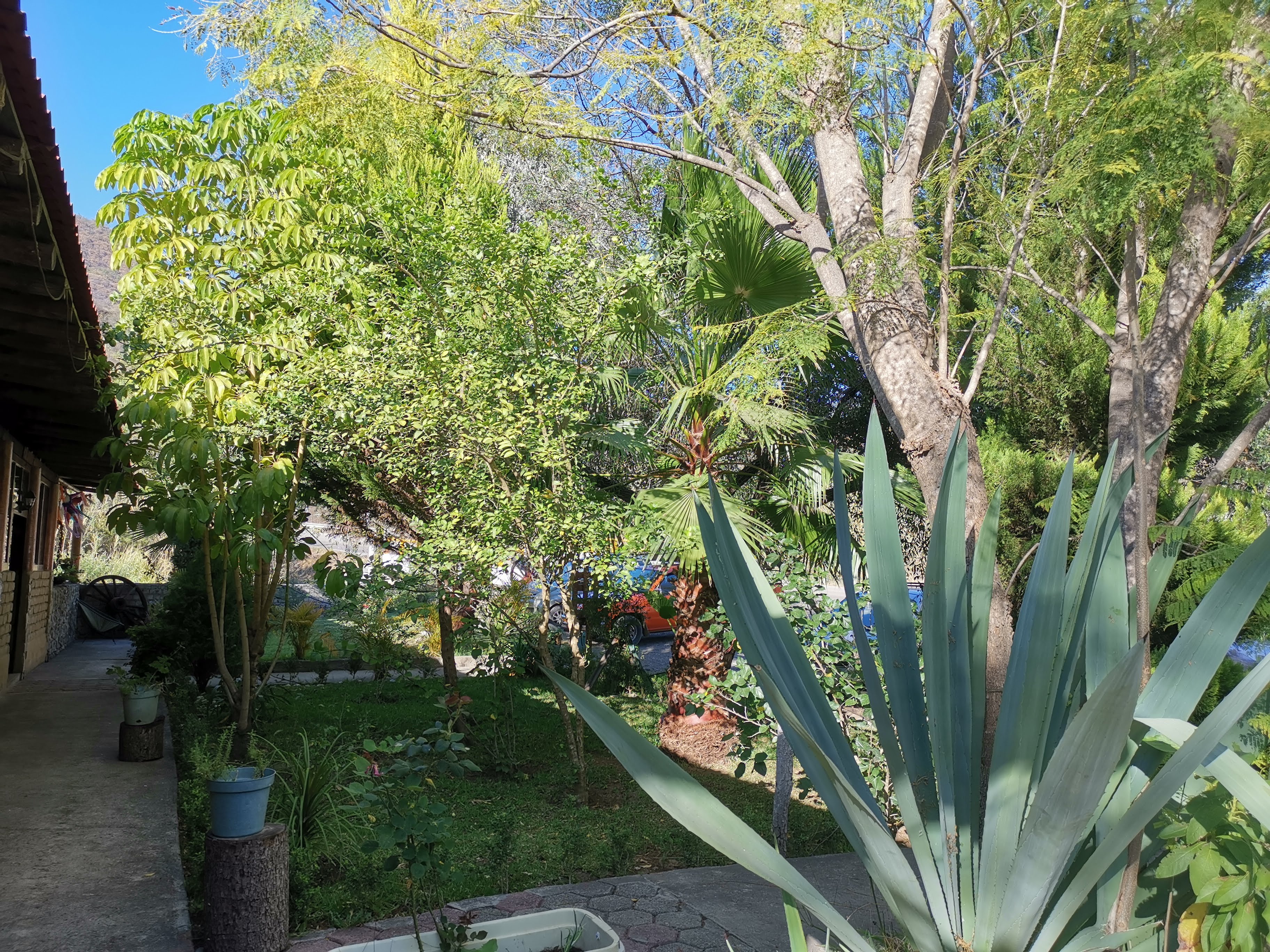 Marisqueria Las Gaviotas image 10