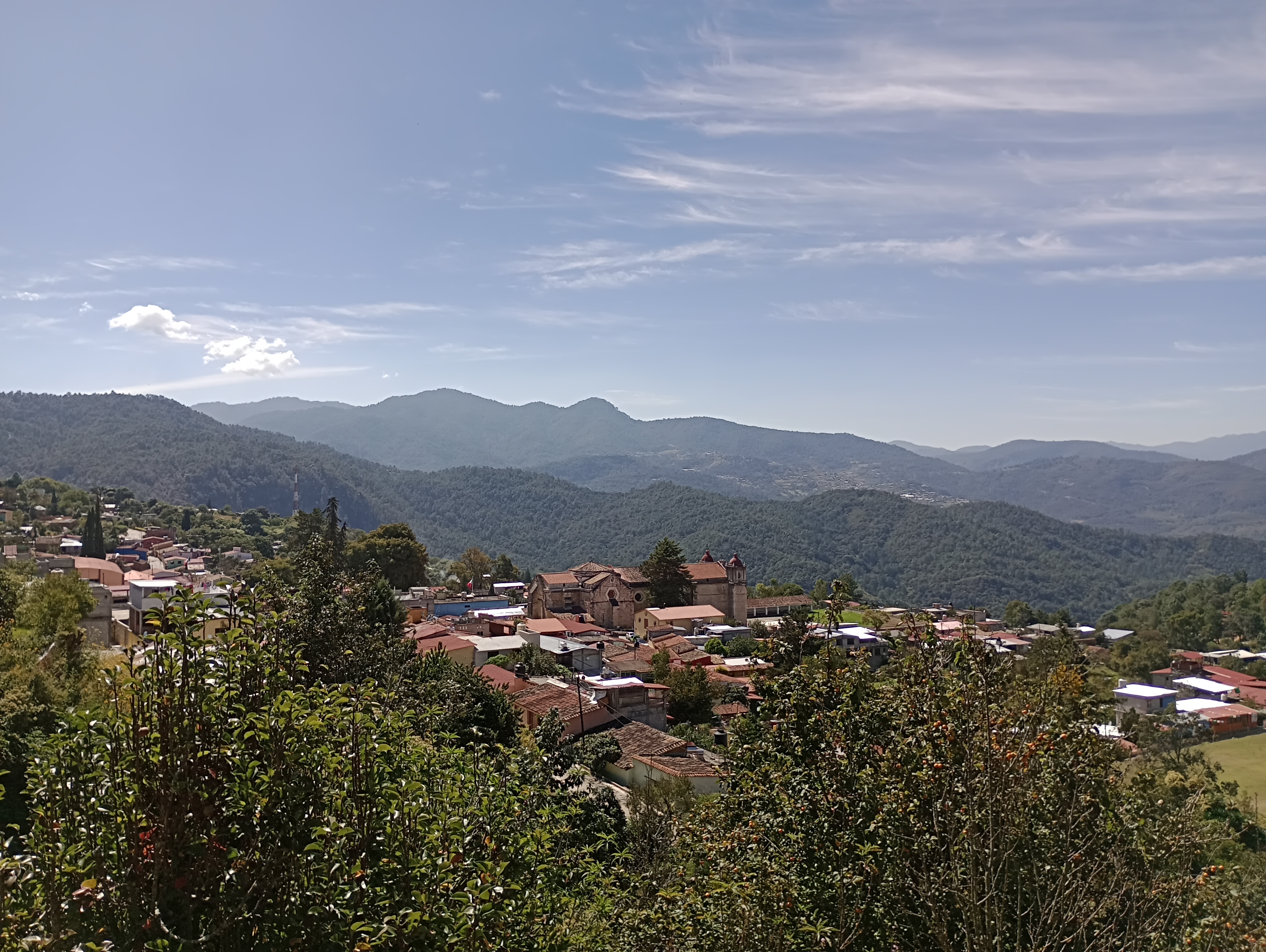 El Verbo de Méndez Café image 3