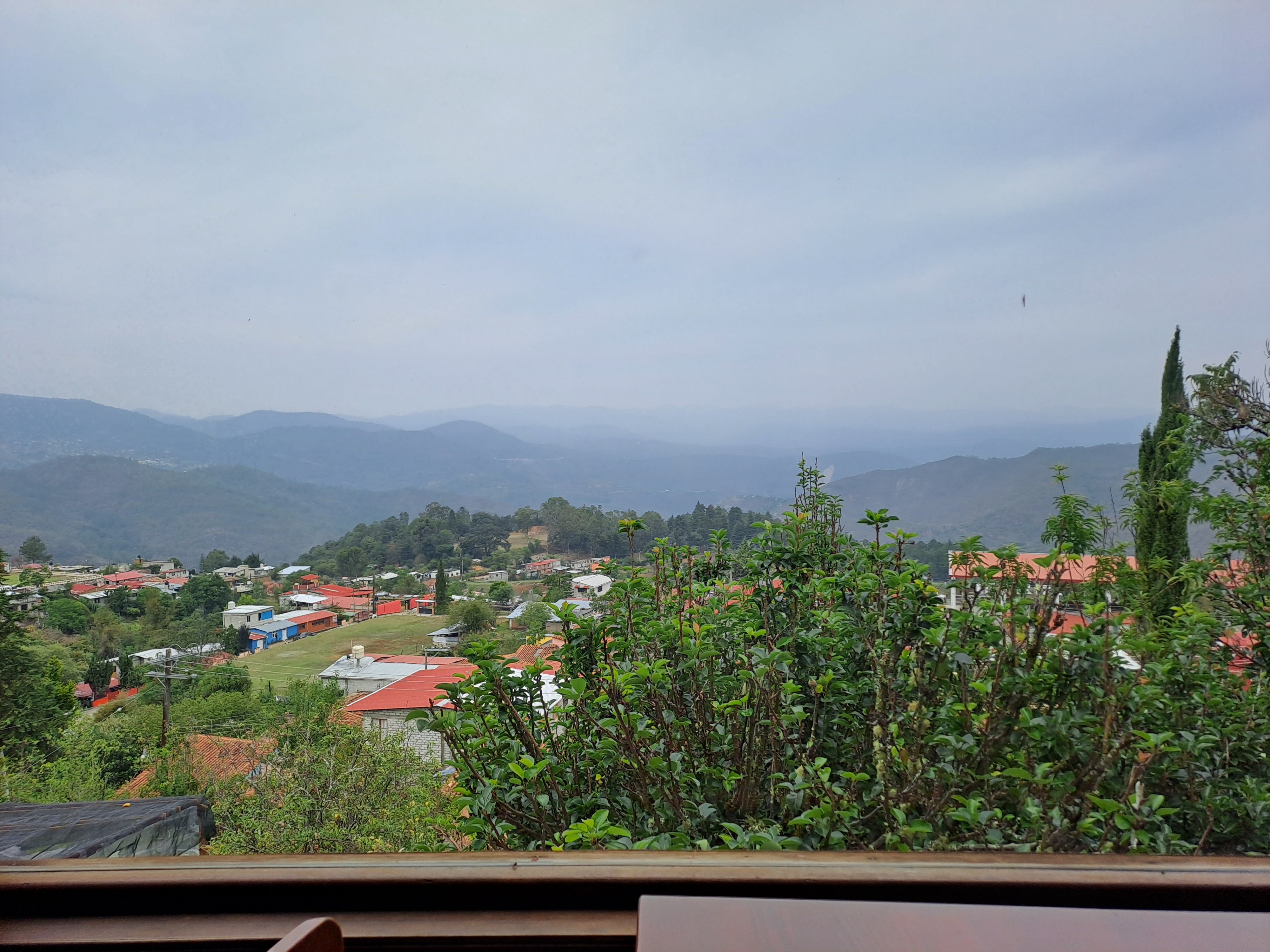 El Verbo de Méndez Café image 4