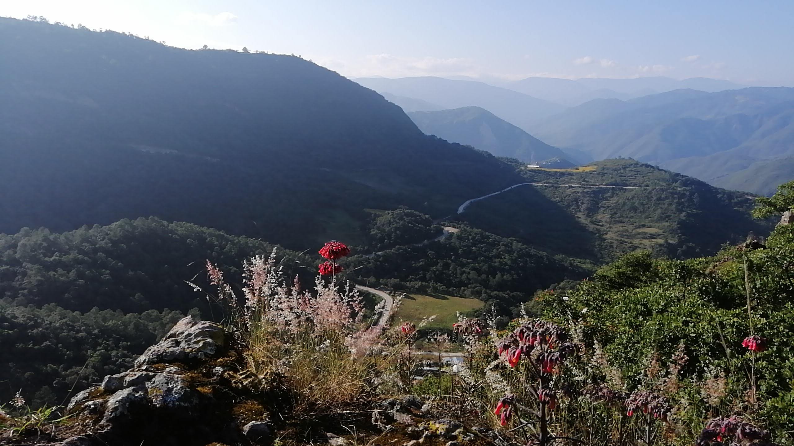 Restaurante comunitario image 5
