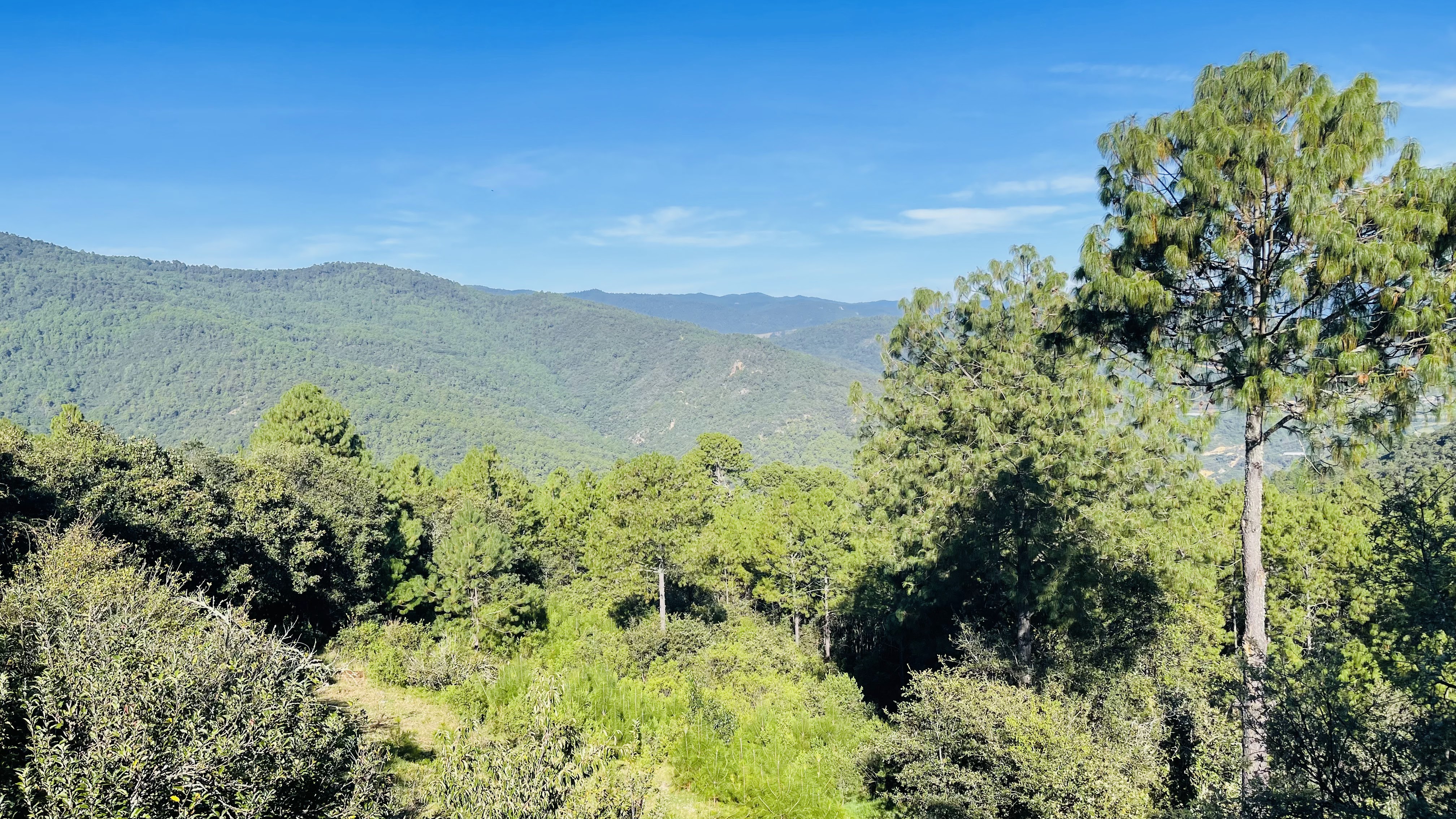 Restaurante Los Jardines image 5