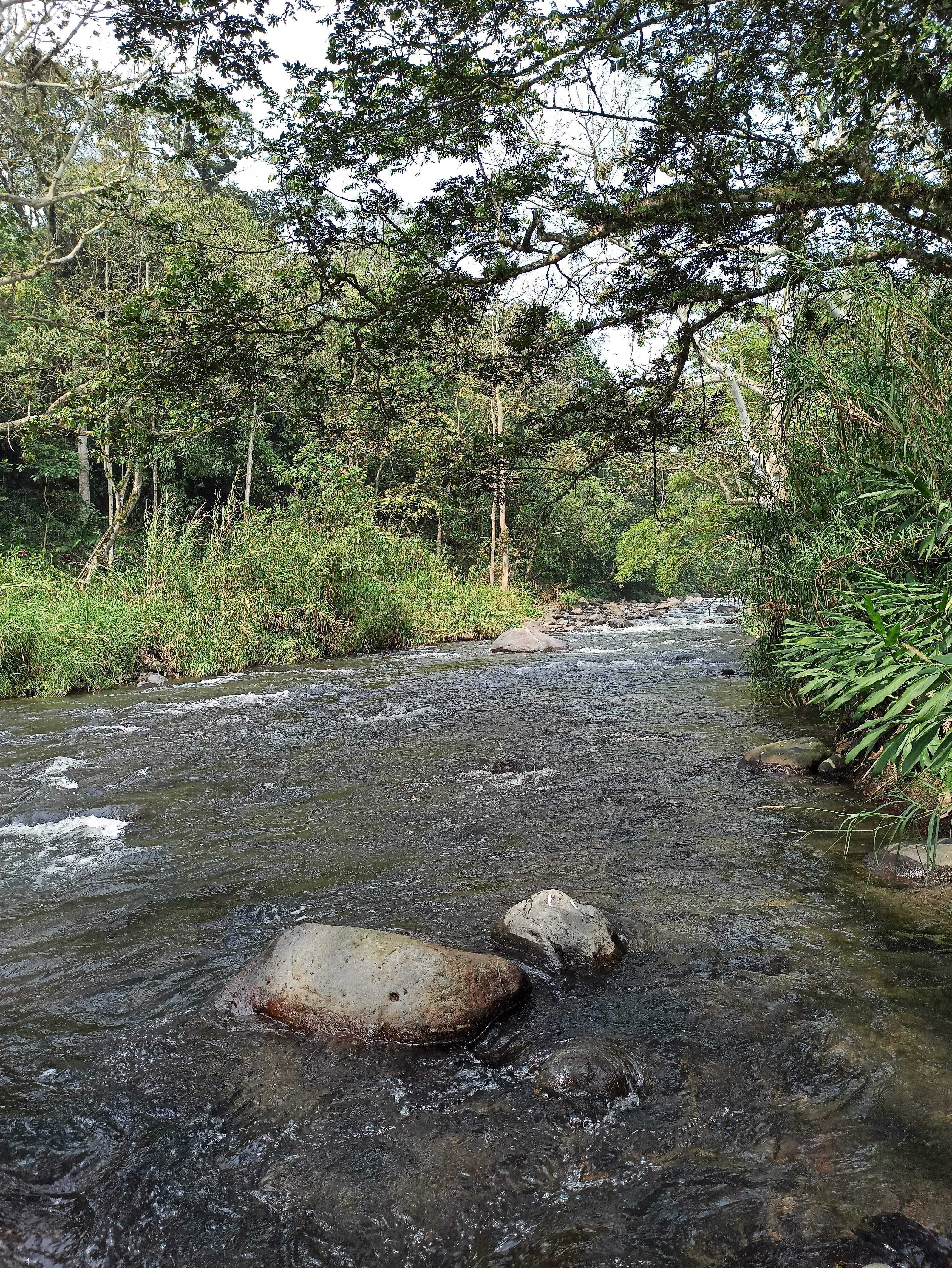 Cabaña Aquí Se Come Feliz image 6