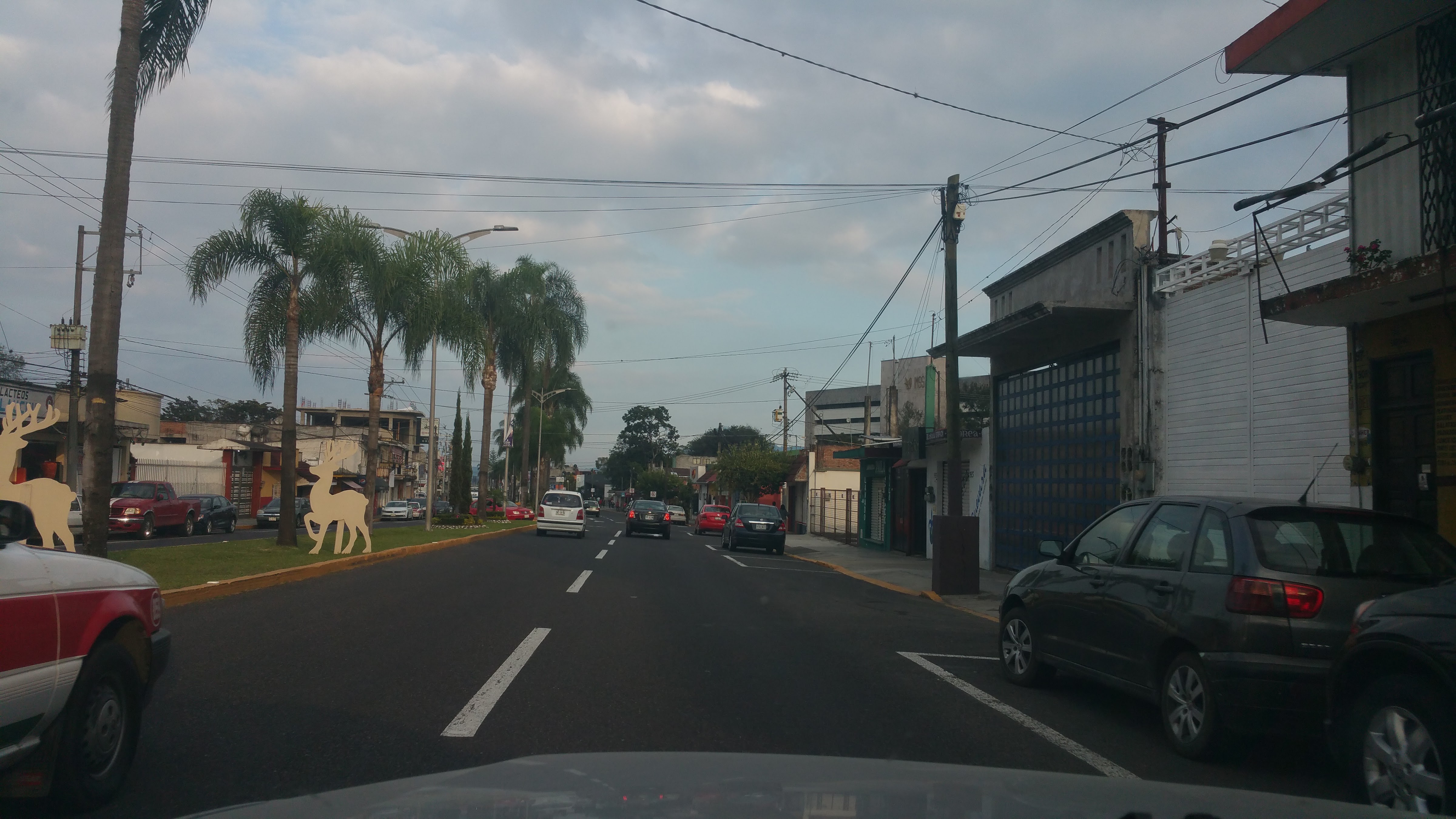 Crazy Food's image 6