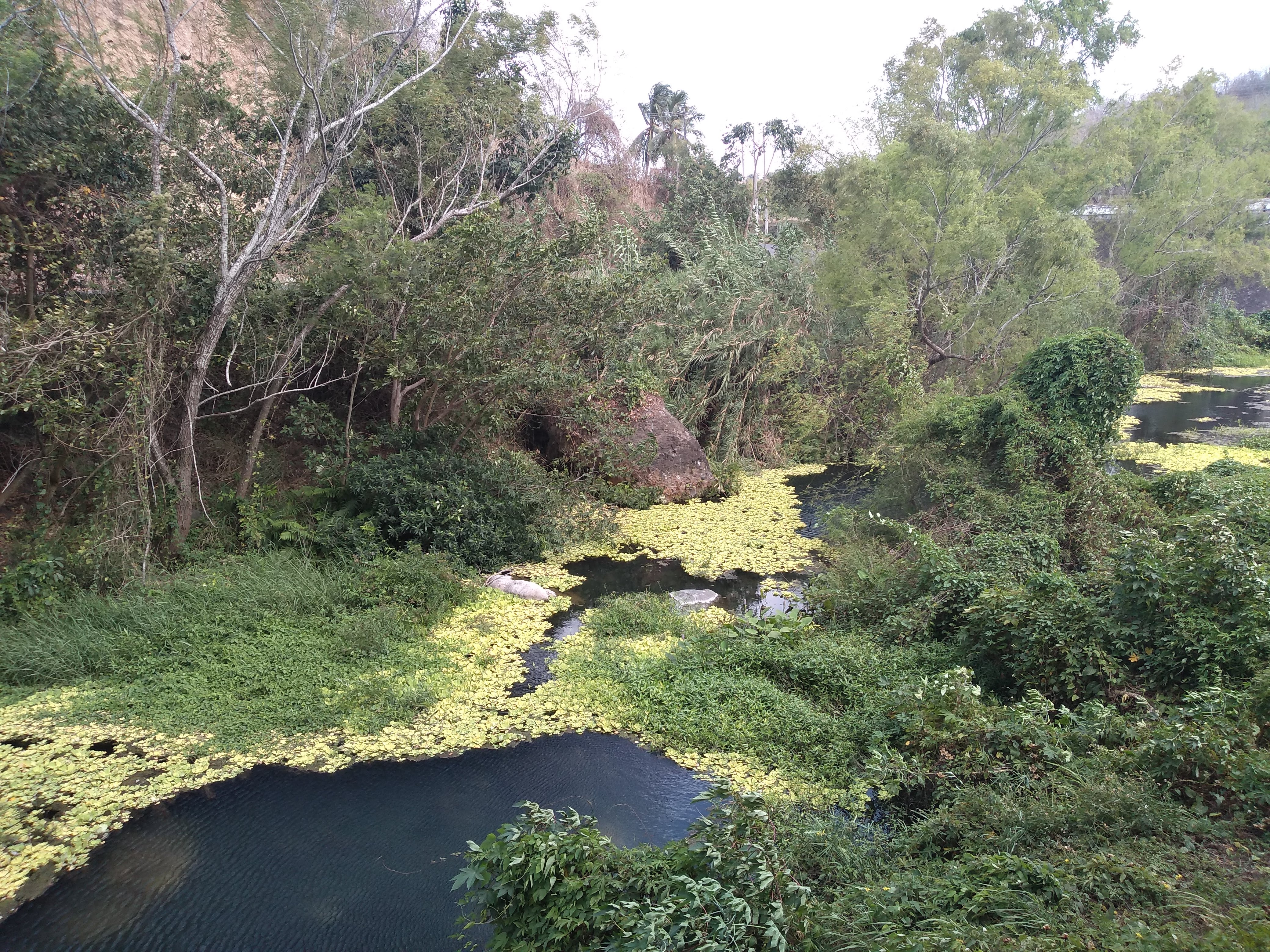 Restaurante Manga de Clavo image 1