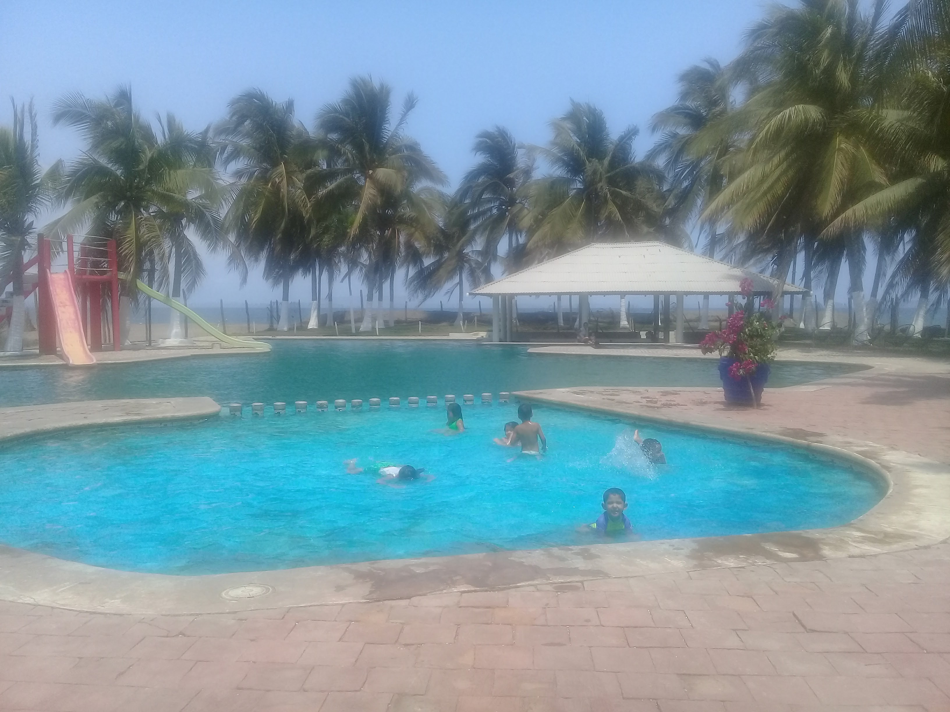 Restaurant Alex image 5