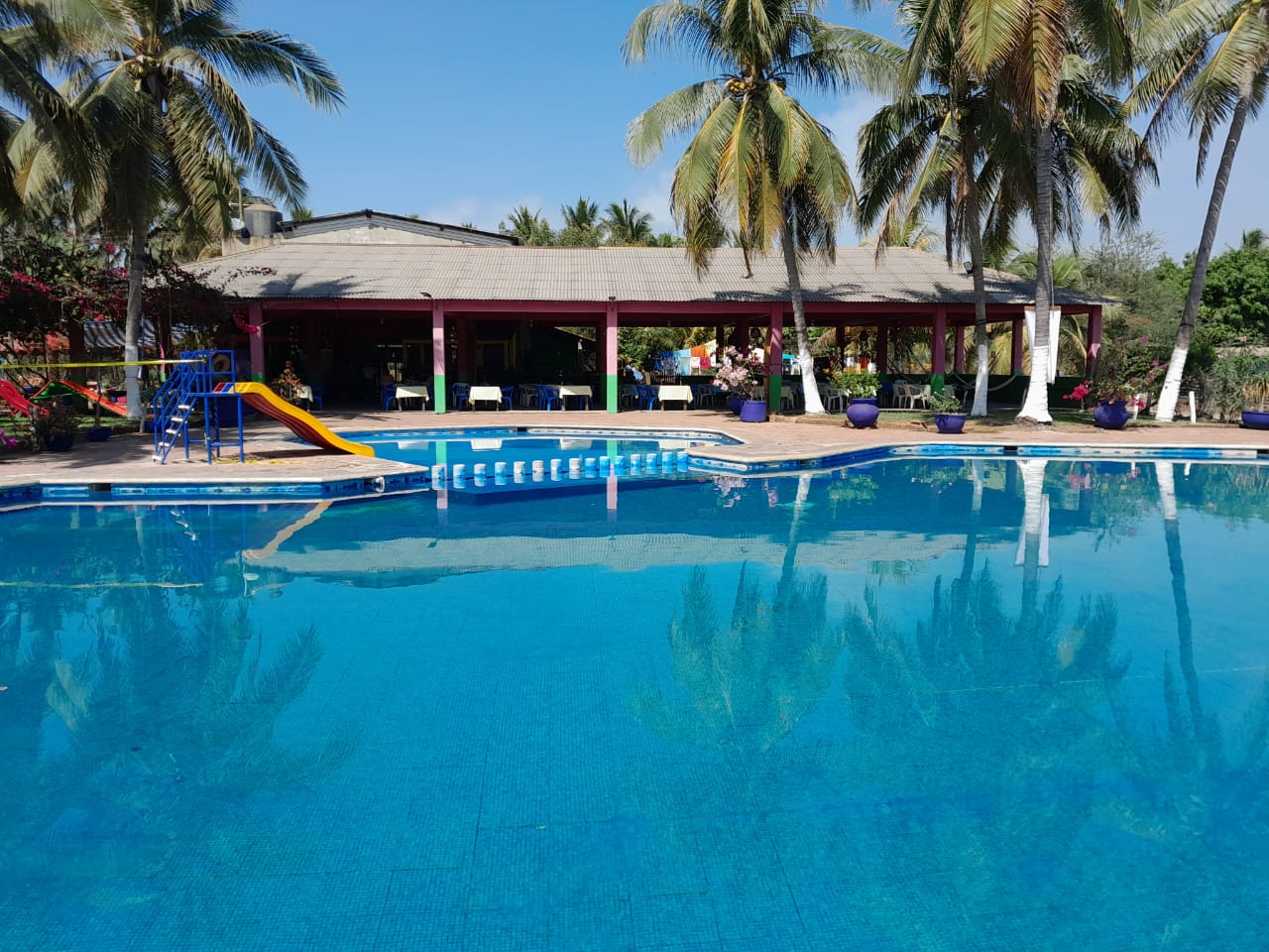 Restaurant Alex image 9