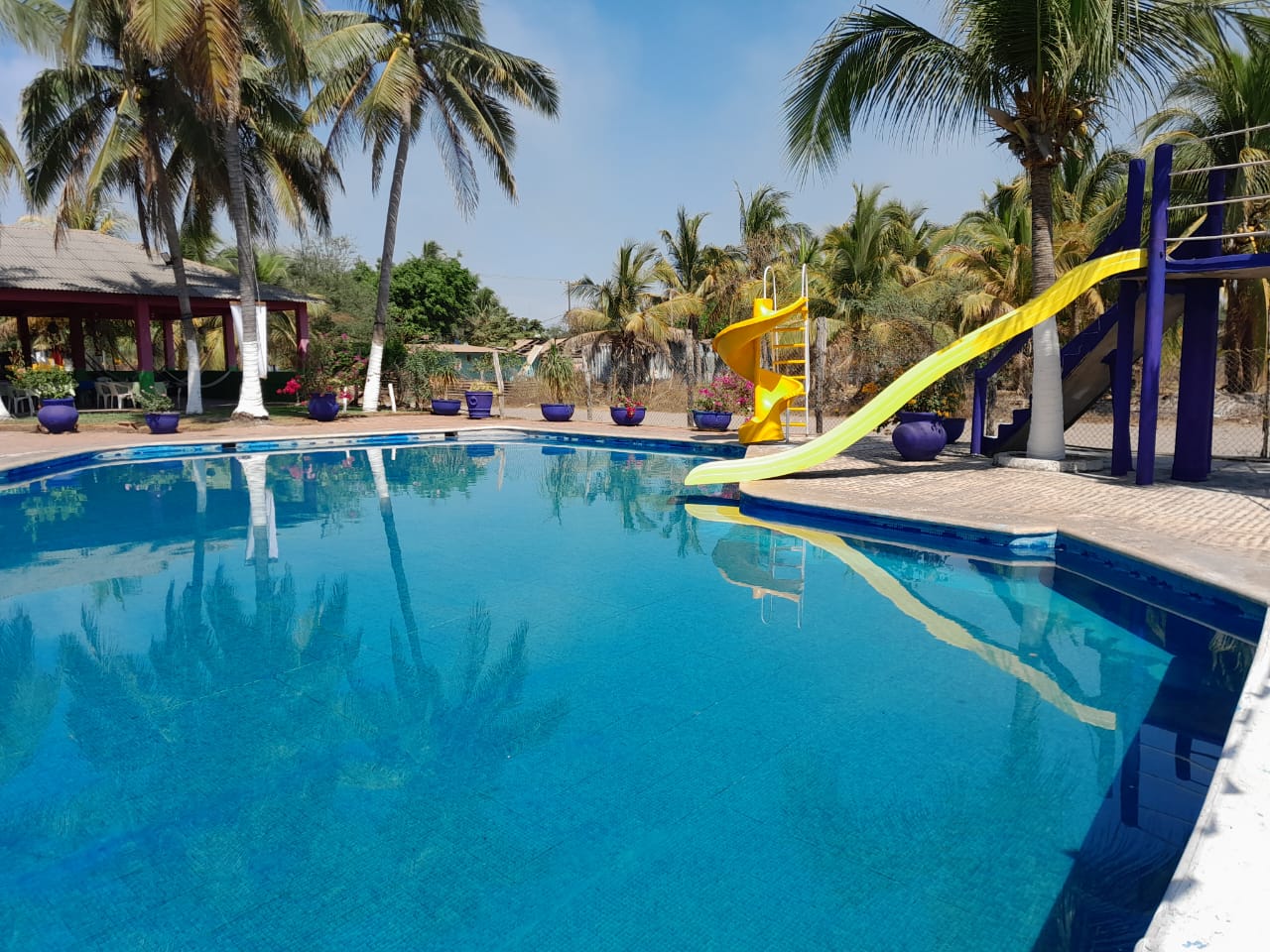 Restaurant Alex image 10