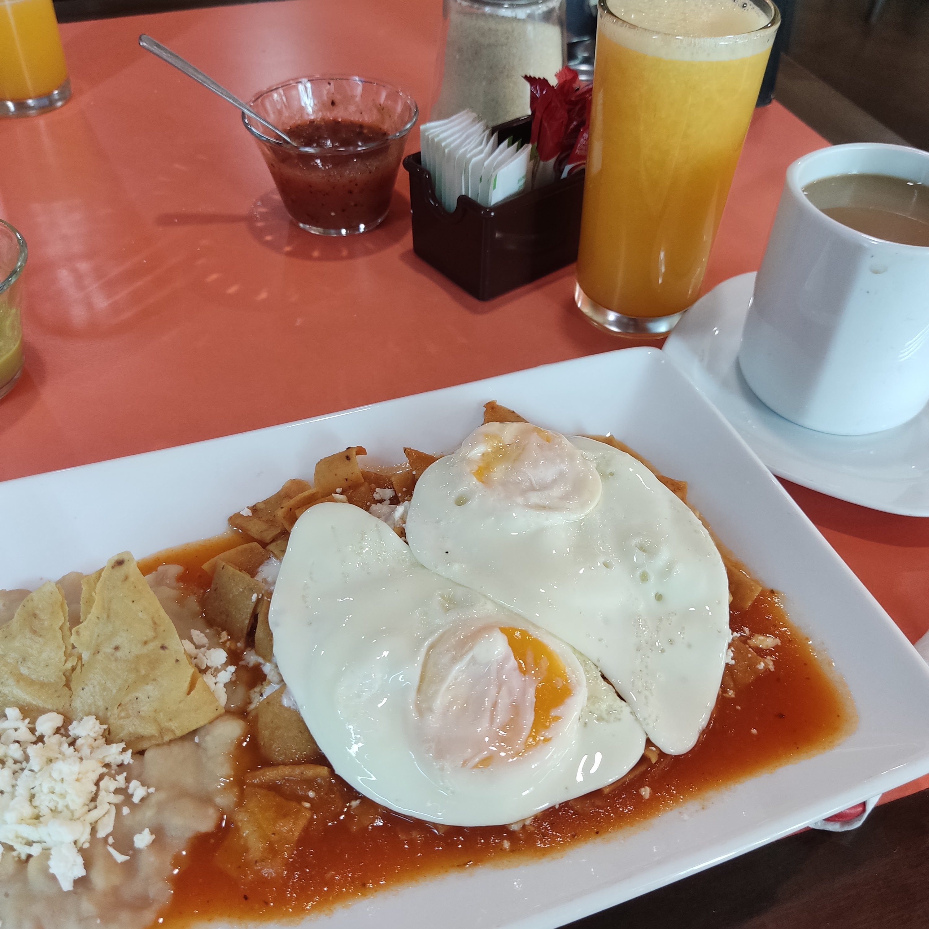 Restaurante Odelot image 1