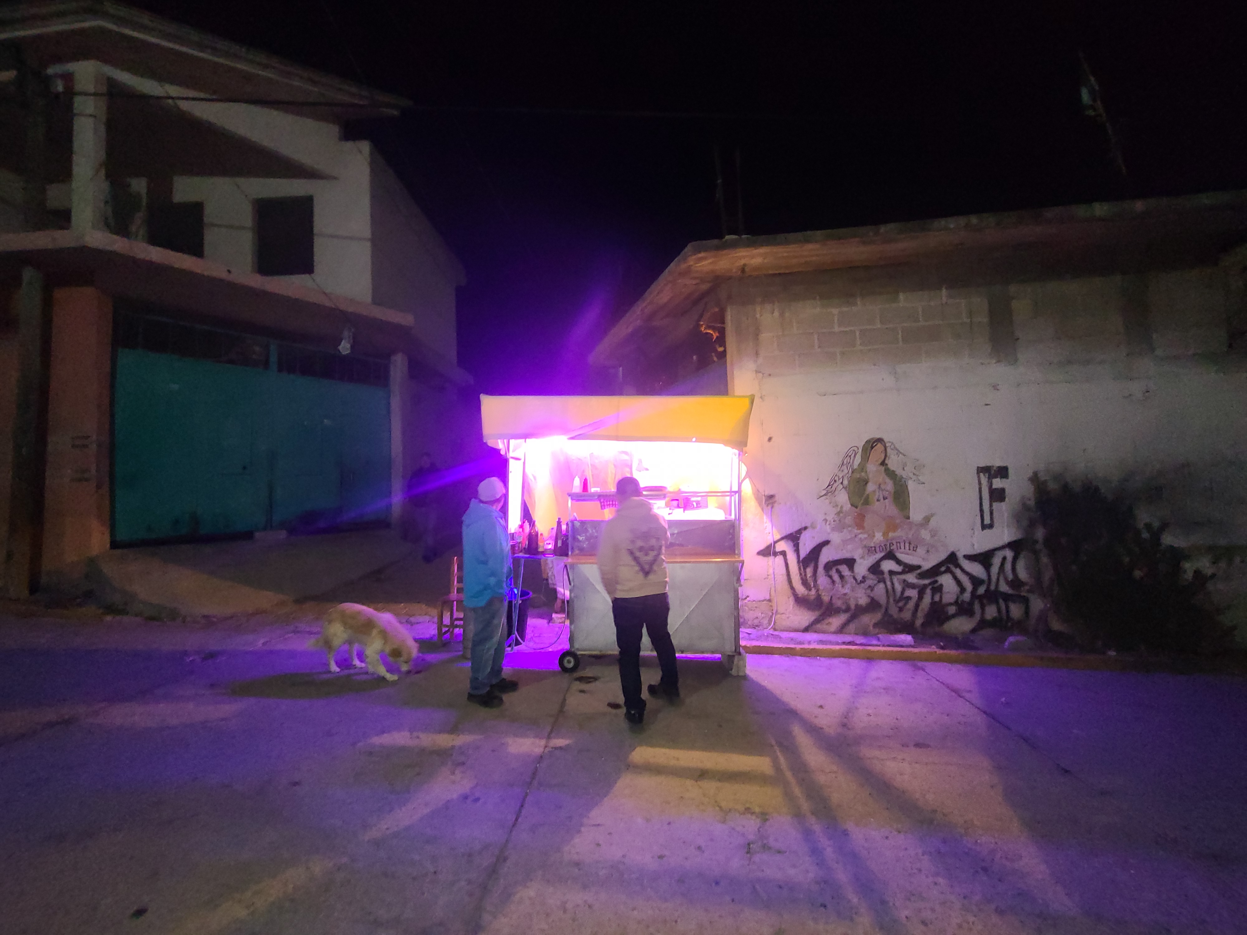 HAMBURGESAS Y ALITAS image 4