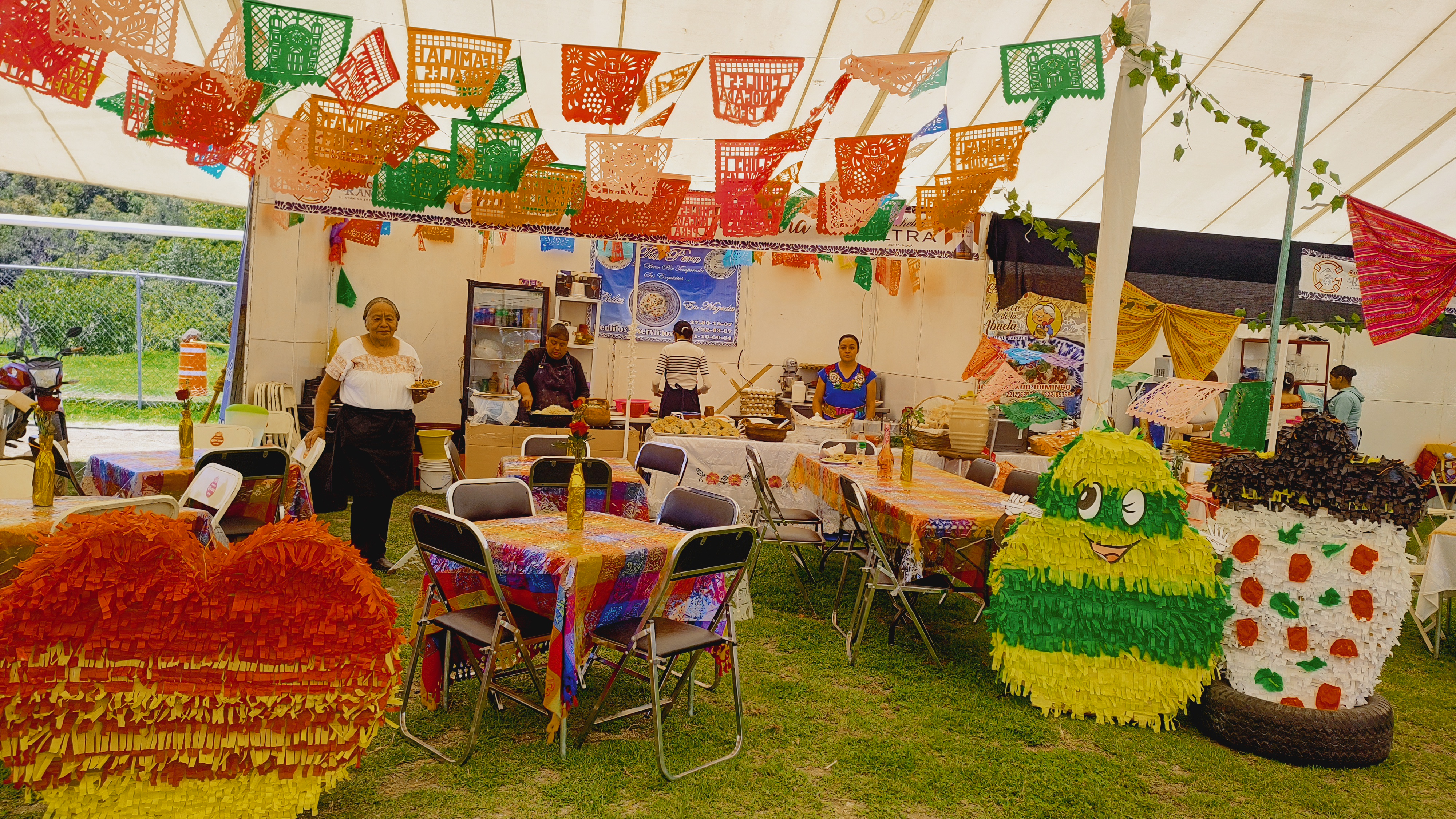 Chiles en Nogada Aunt Perla image 1