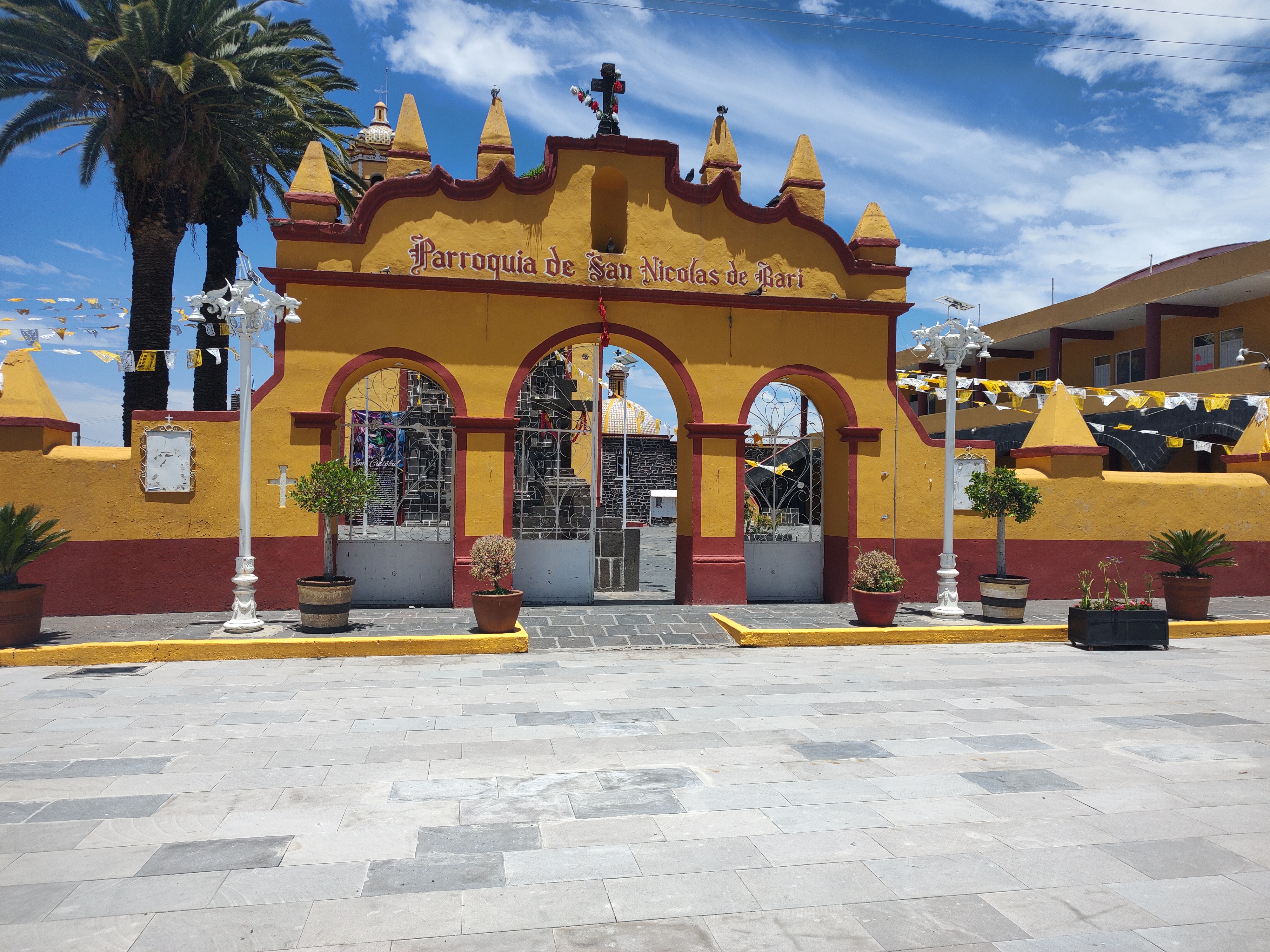 Chiles en Nogada Aunt Perla image 4