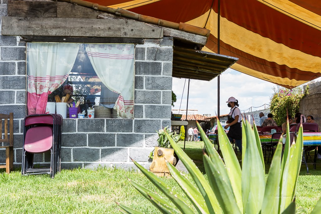 Chiles en Nogada Tierra y Sabor. image 3