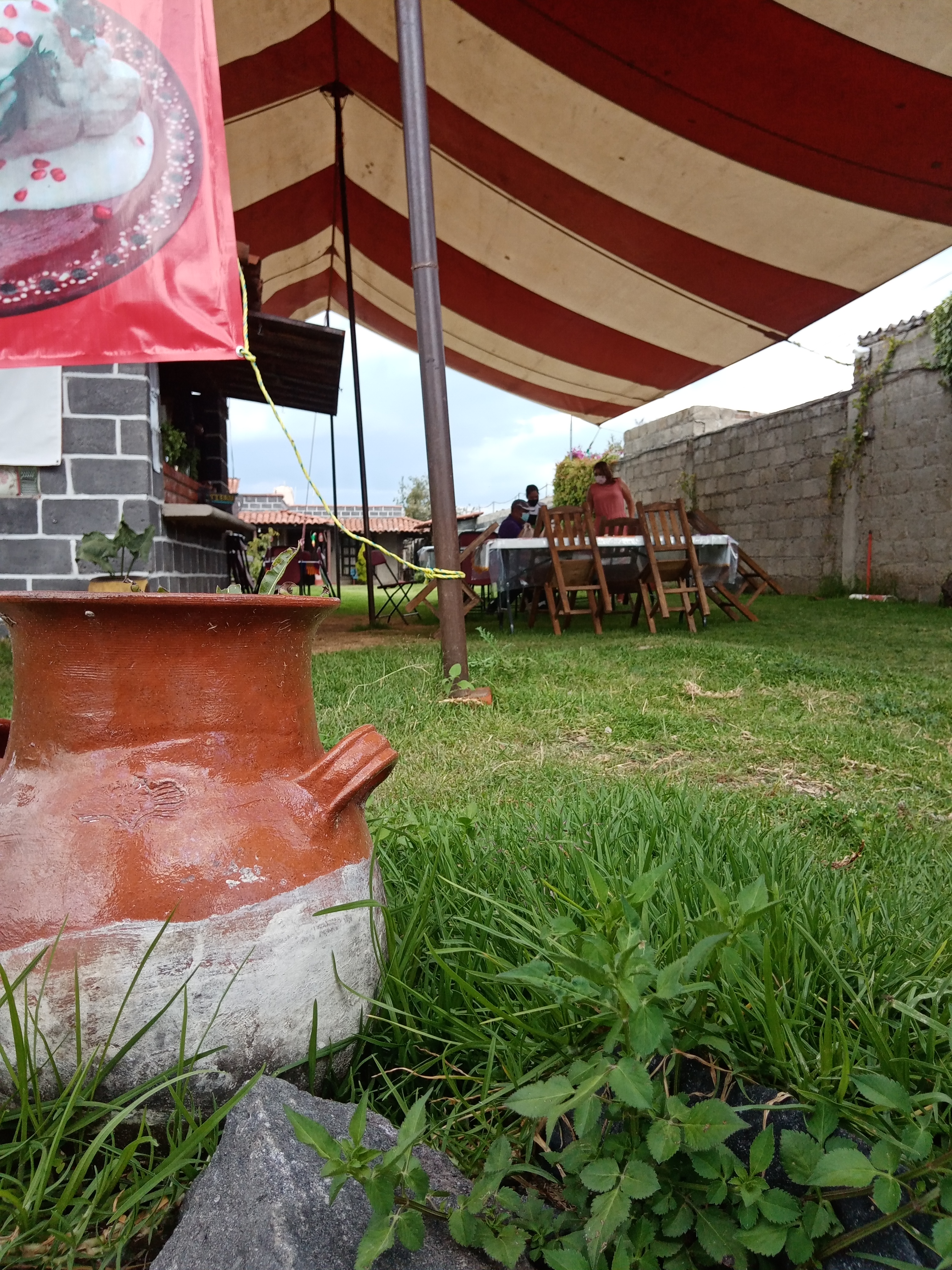 Chiles en Nogada Tierra y Sabor. image 5