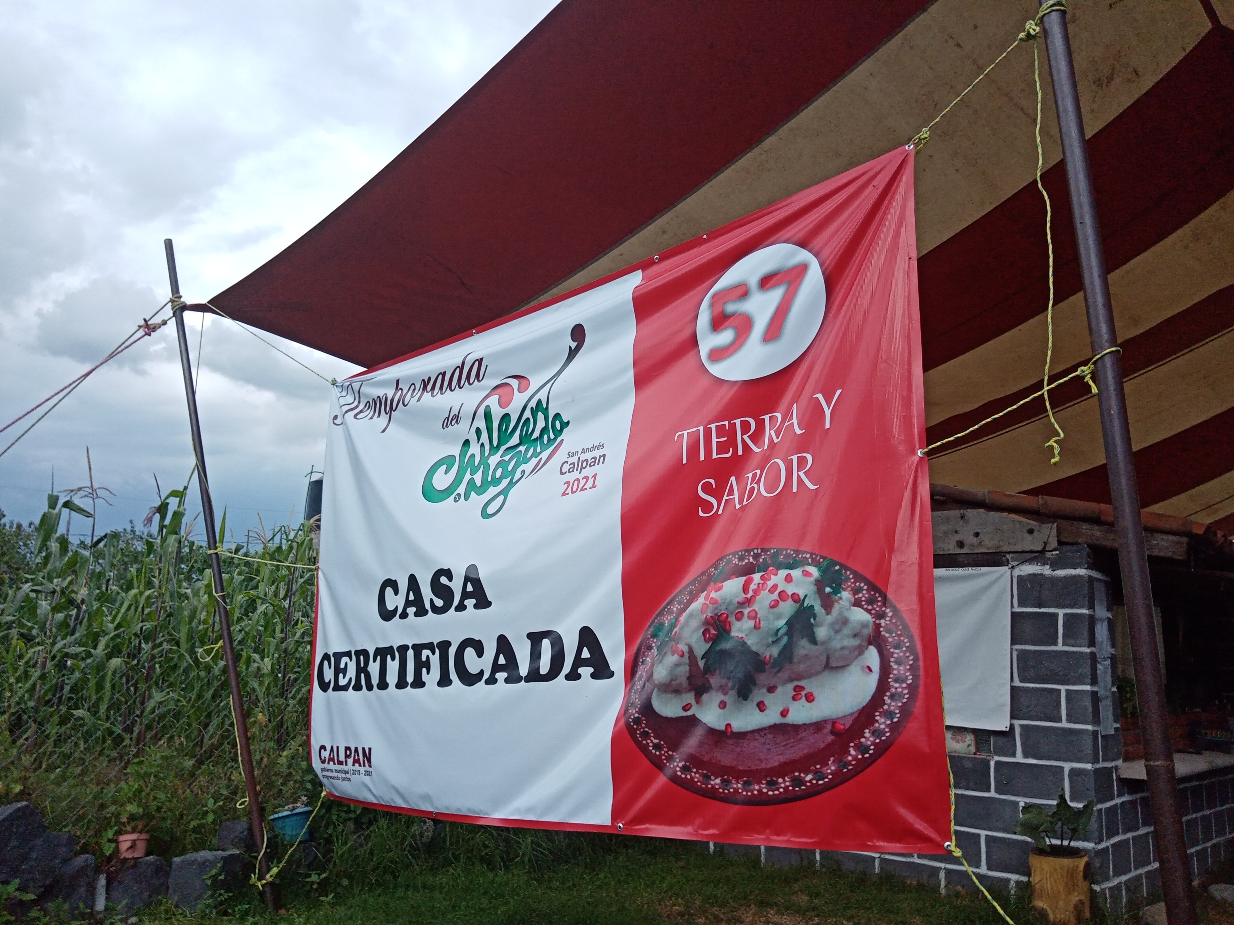 Chiles en Nogada Tierra y Sabor. image 6