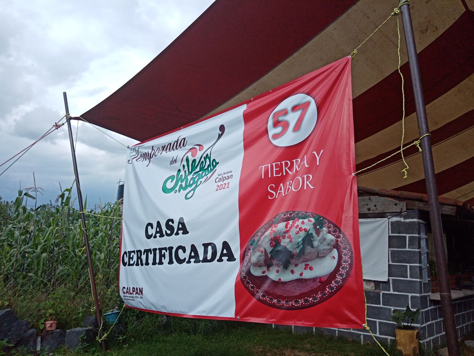 Chiles en Nogada Tierra y Sabor. image 6