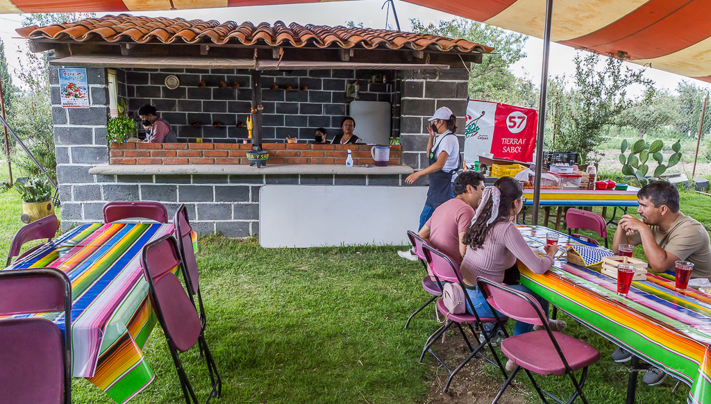 Chiles en Nogada Tierra y Sabor. image 8