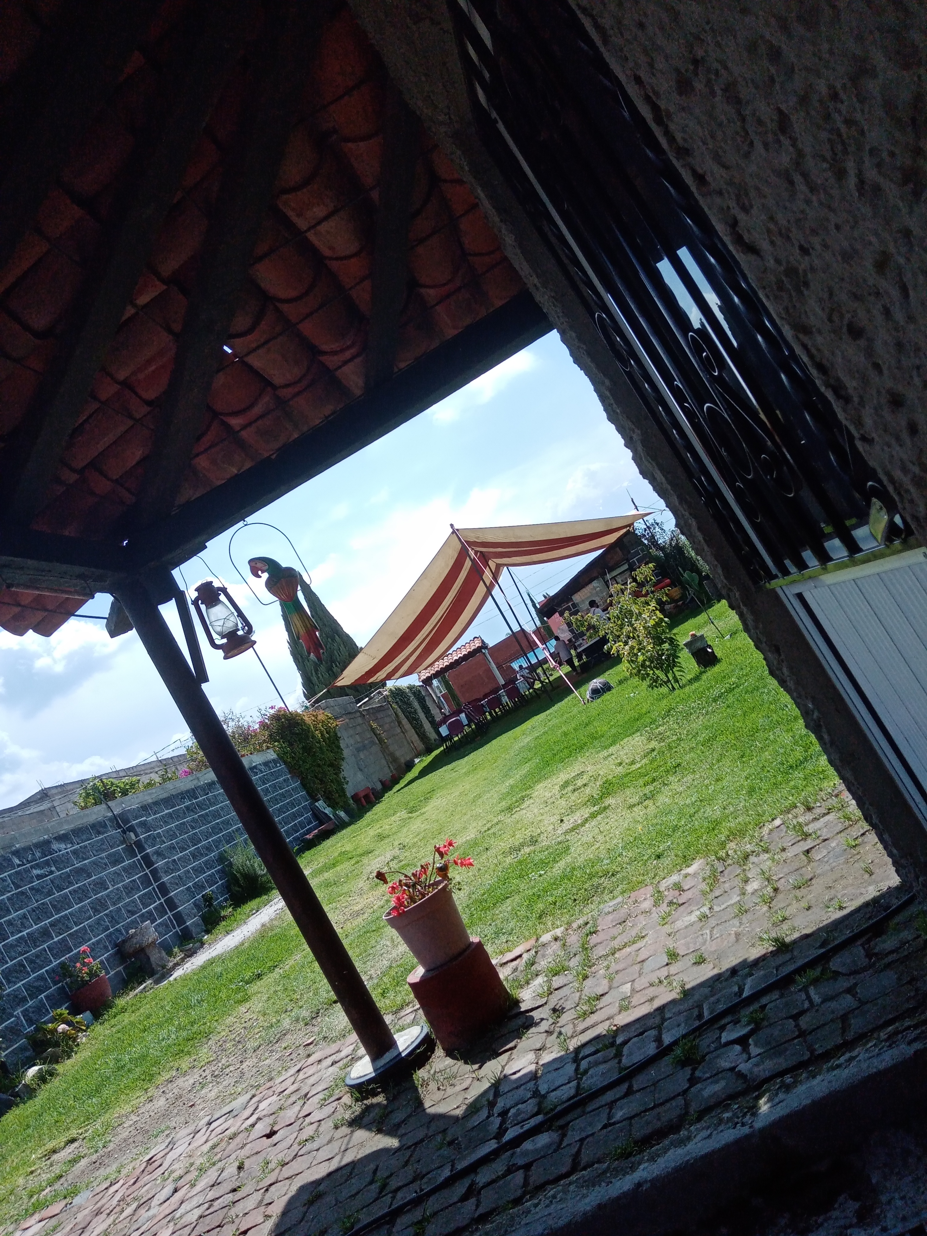 Chiles en Nogada Tierra y Sabor. image 9