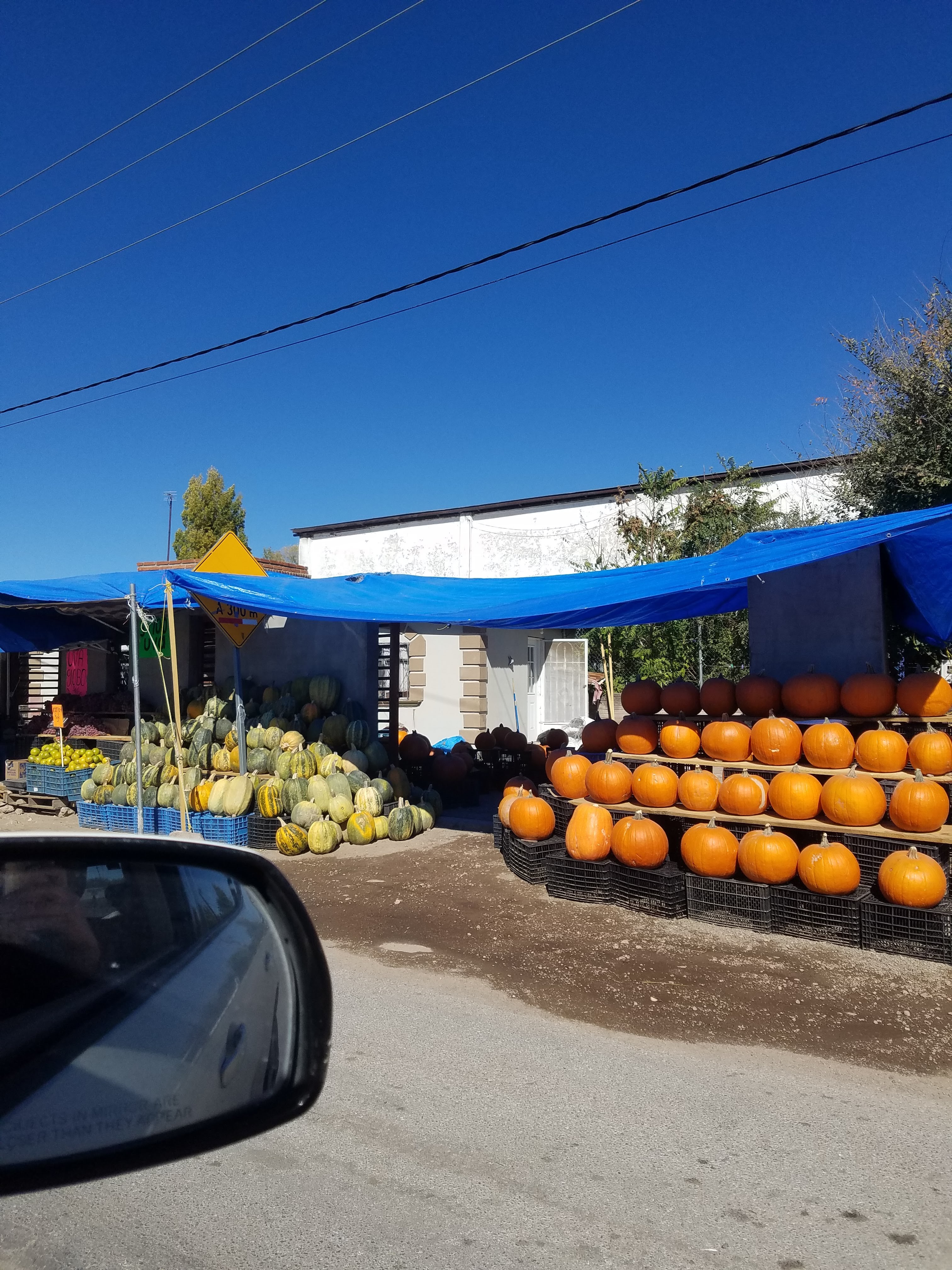 CHIH 7D RICARDO FLORES MAGON CHIHUAHUA image 6