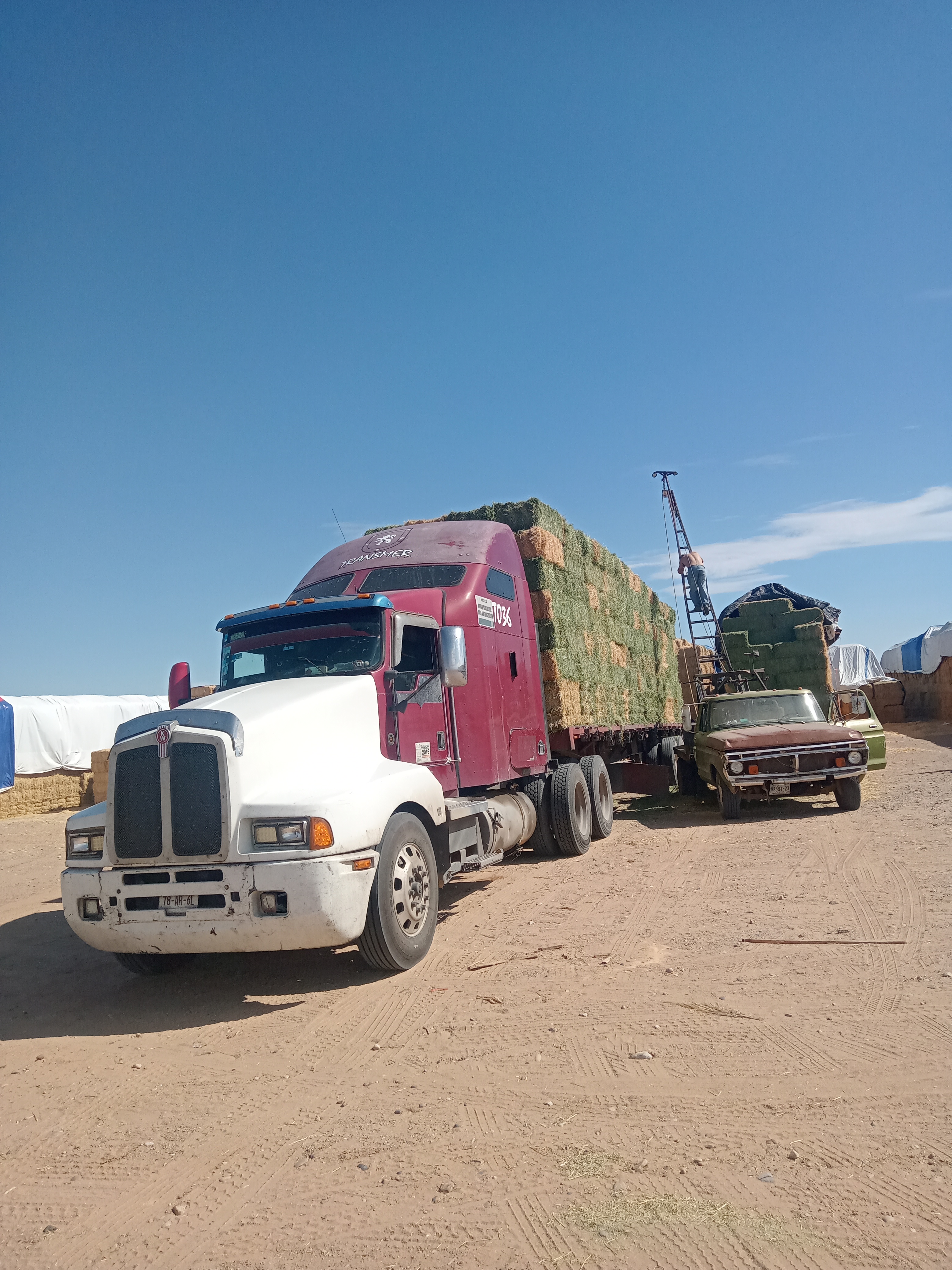 Comedor YOLY image 2